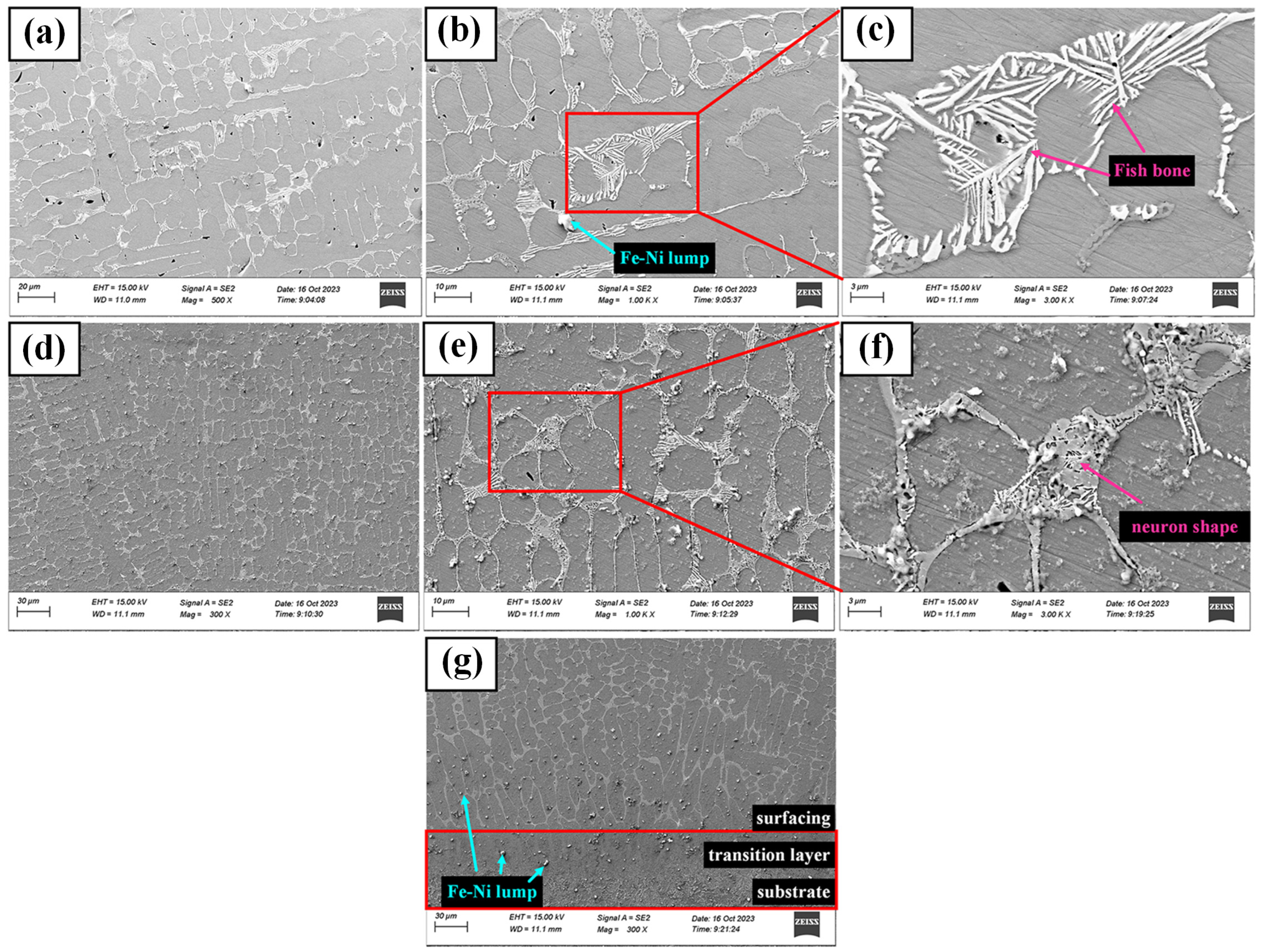 Coatings 14 00734 g007