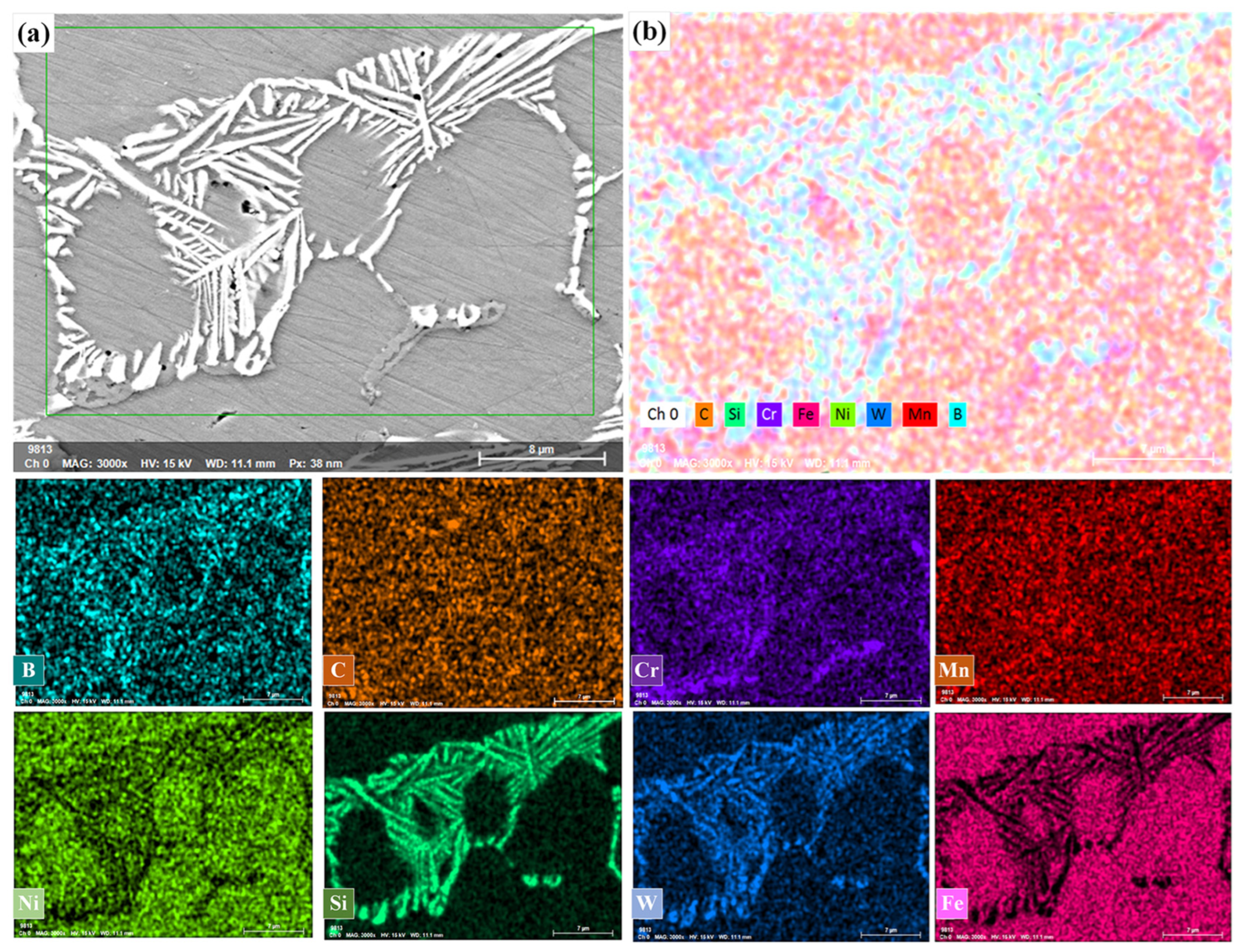Coatings 14 00734 g008