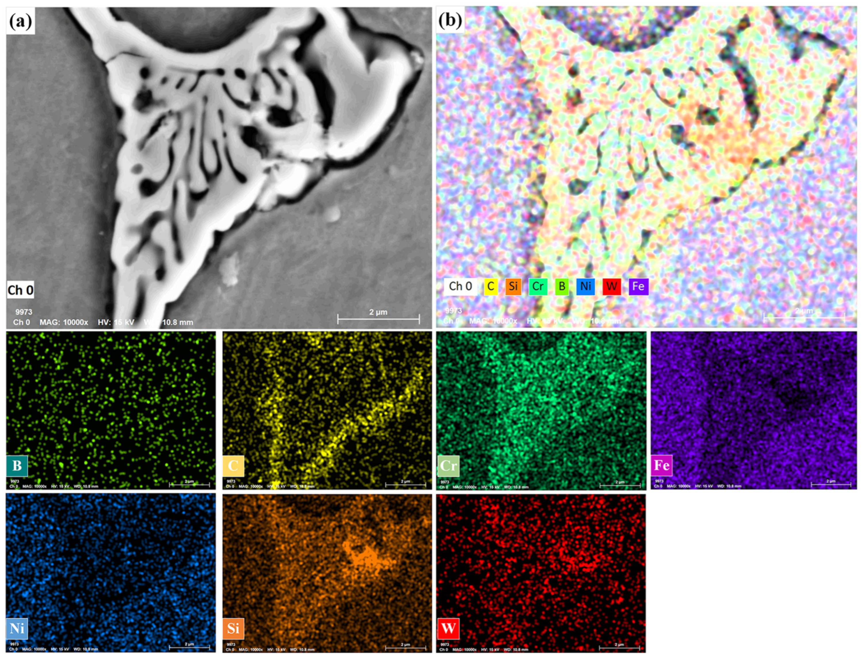Coatings 14 00734 g012