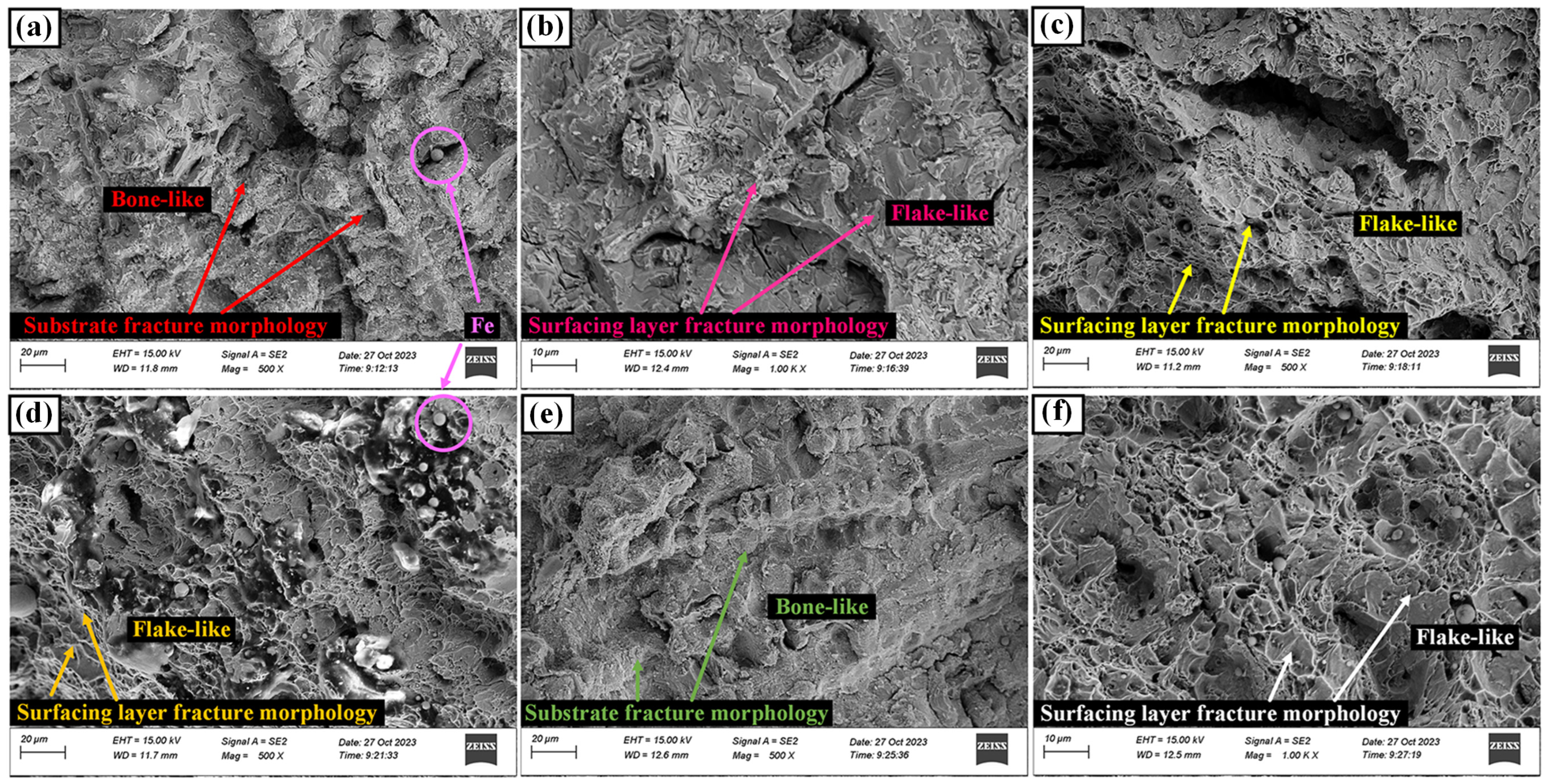 Coatings 14 00734 g023