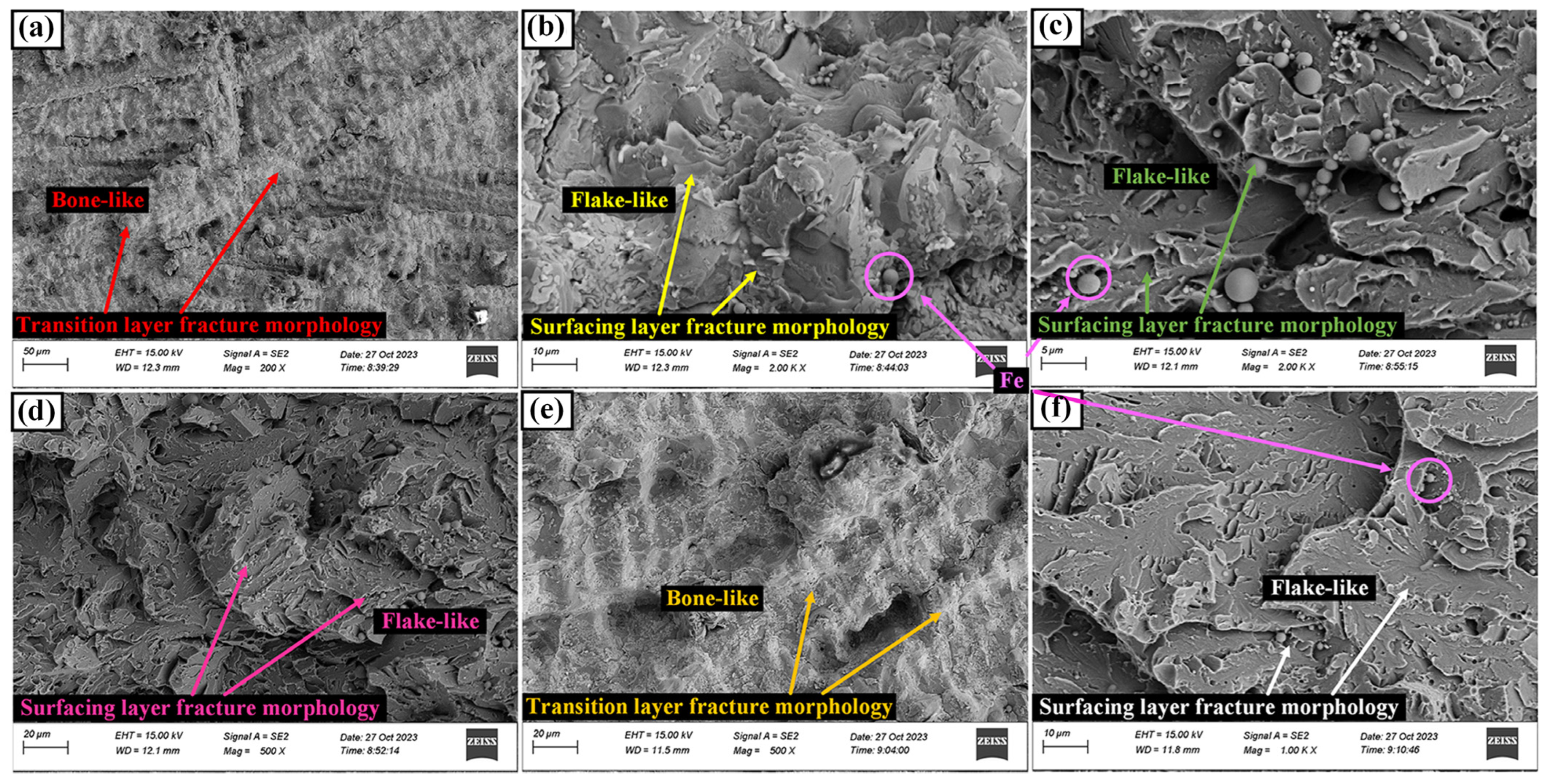 Coatings 14 00734 g025