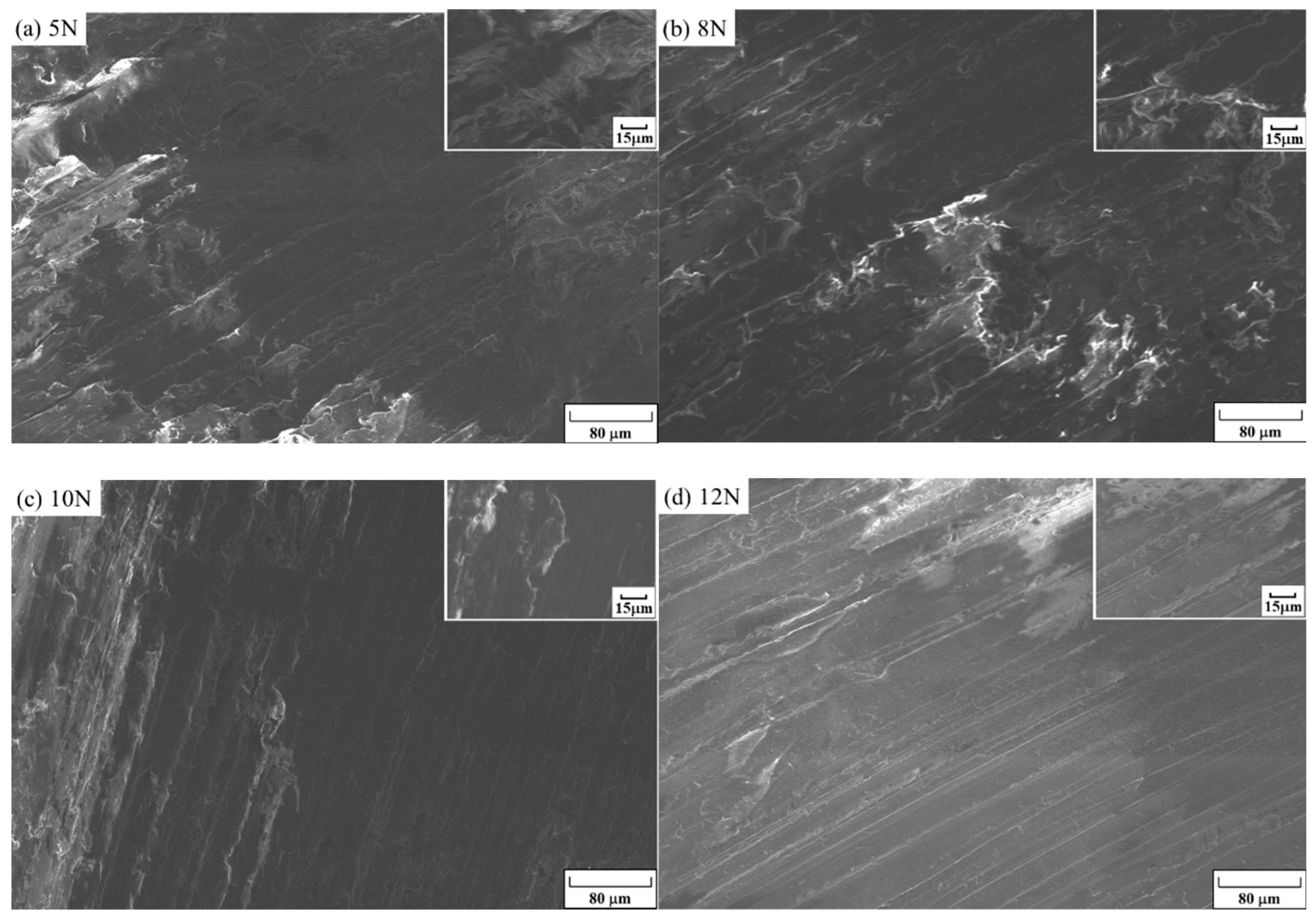Coatings 14 00735 g011