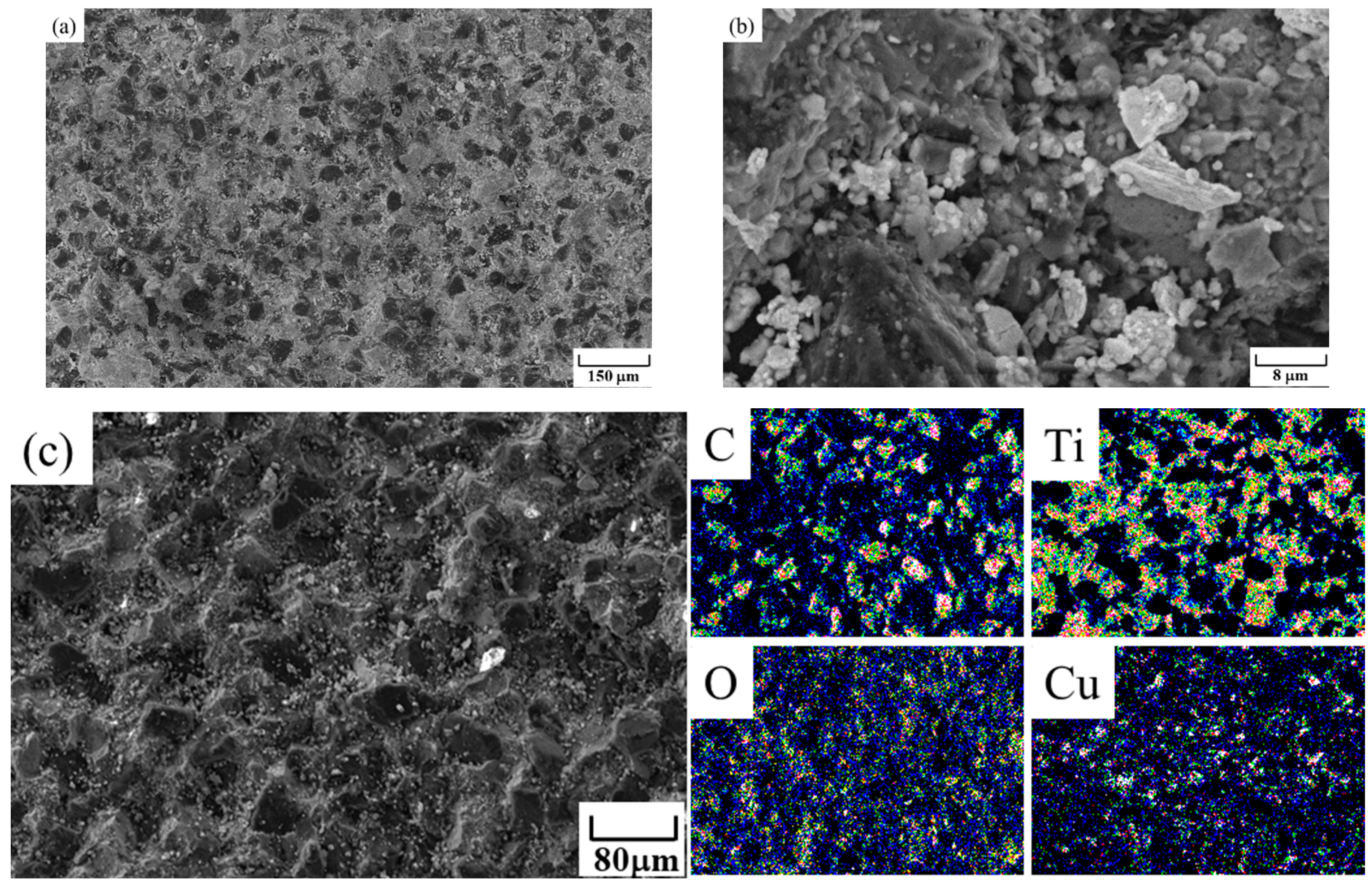 Coatings 14 00735 g014