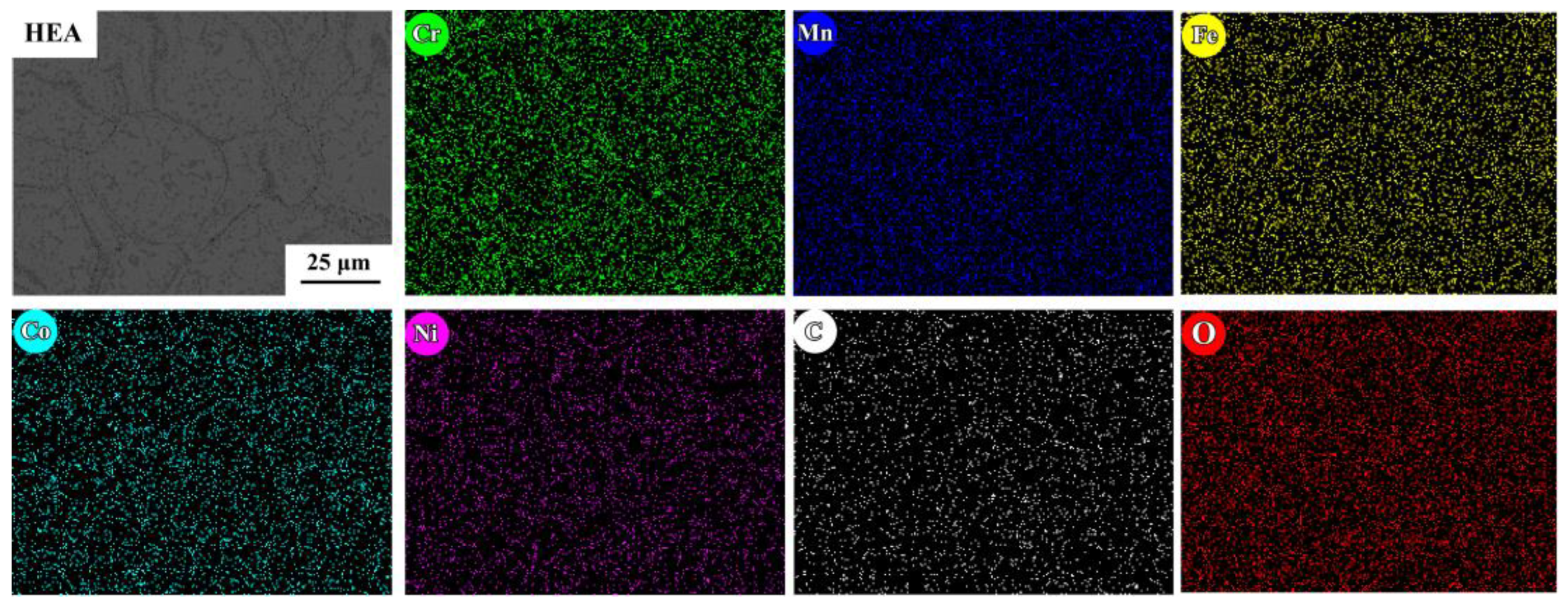 Coatings 14 00737 g007