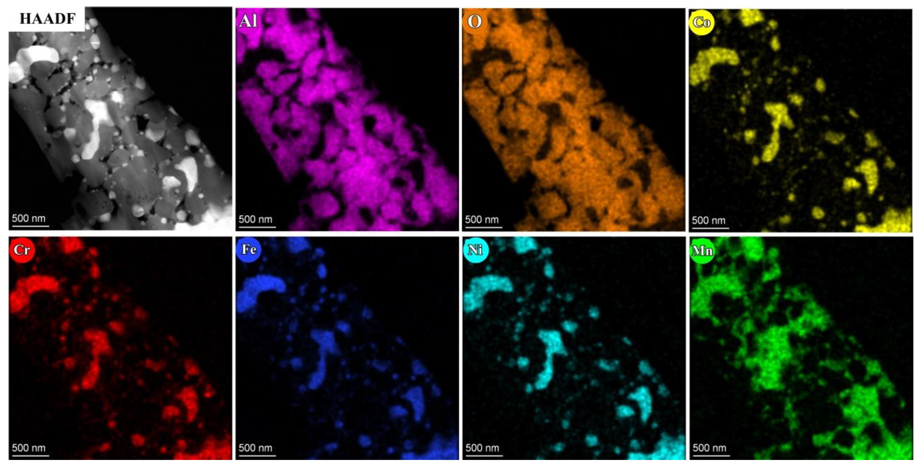 Coatings 14 00737 g010