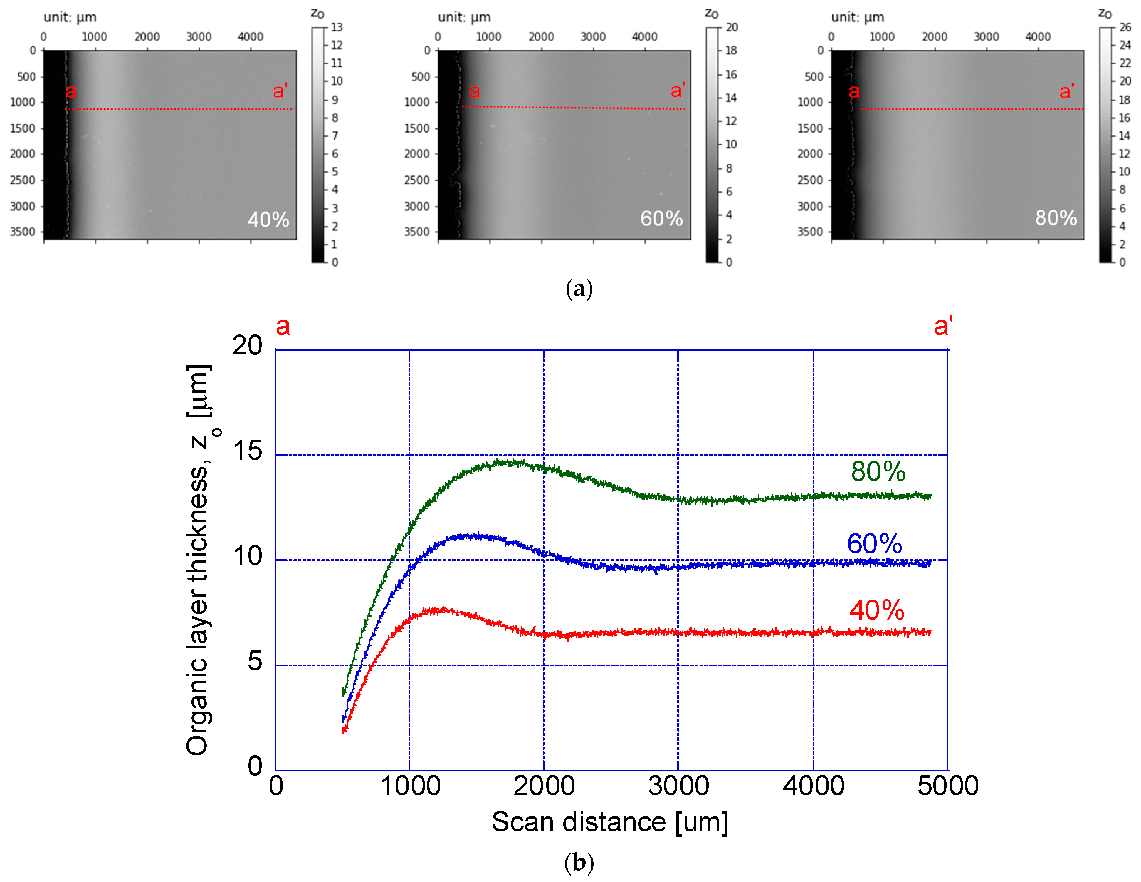 Coatings 14 00738 g012