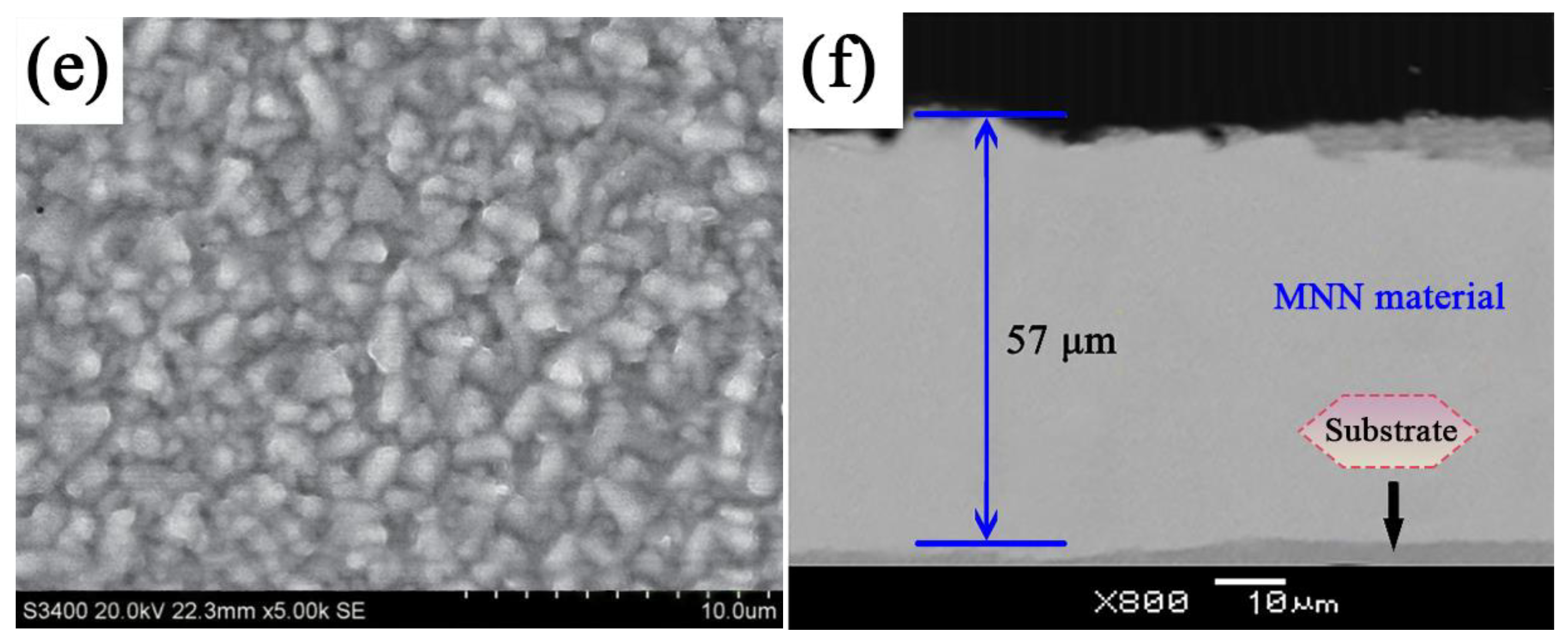 Coatings 14 00739 g003b
