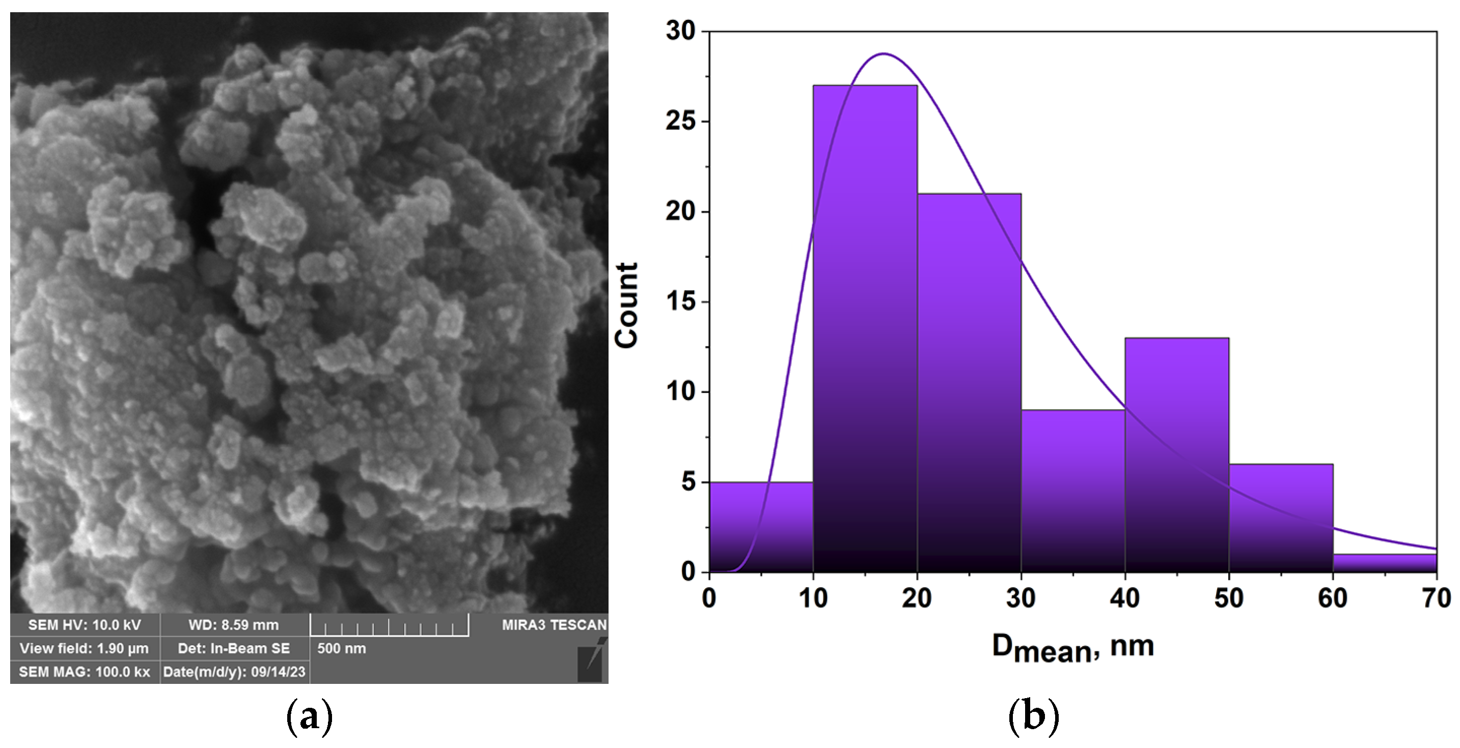 Coatings 14 00740 g001
