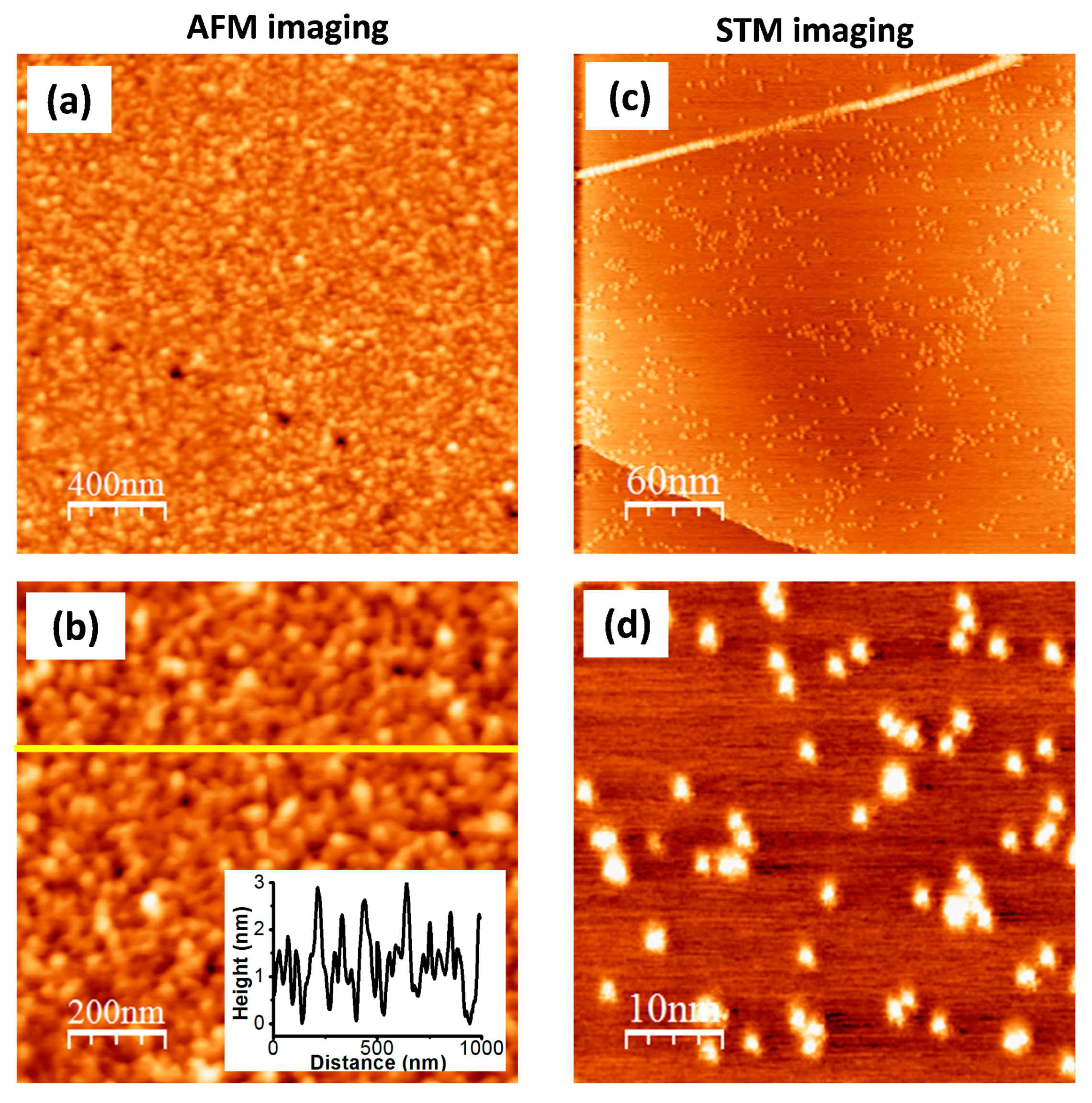 Coatings 14 00745 g004