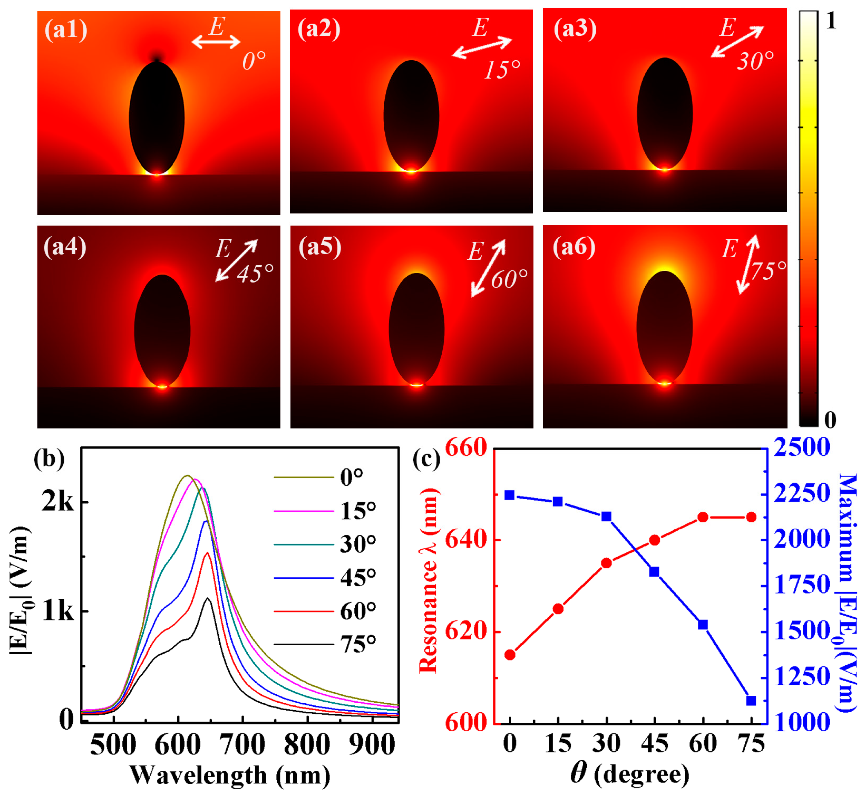 Coatings 14 00746 g003