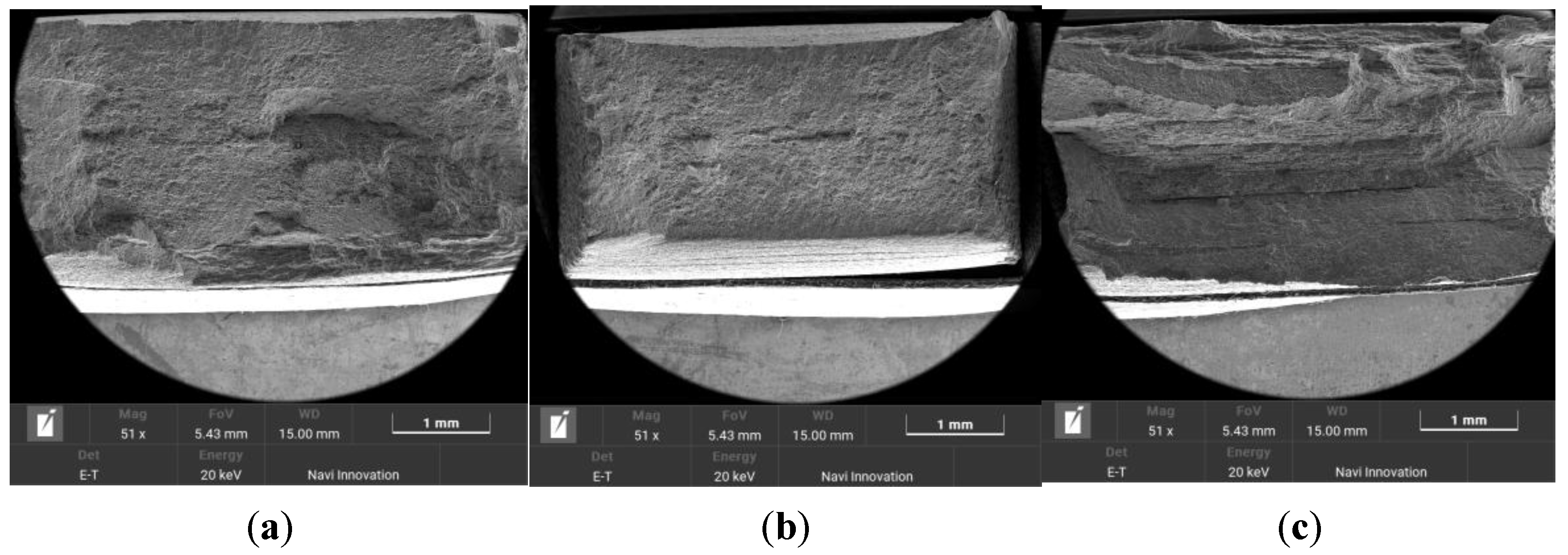 Coatings 14 00755 g006