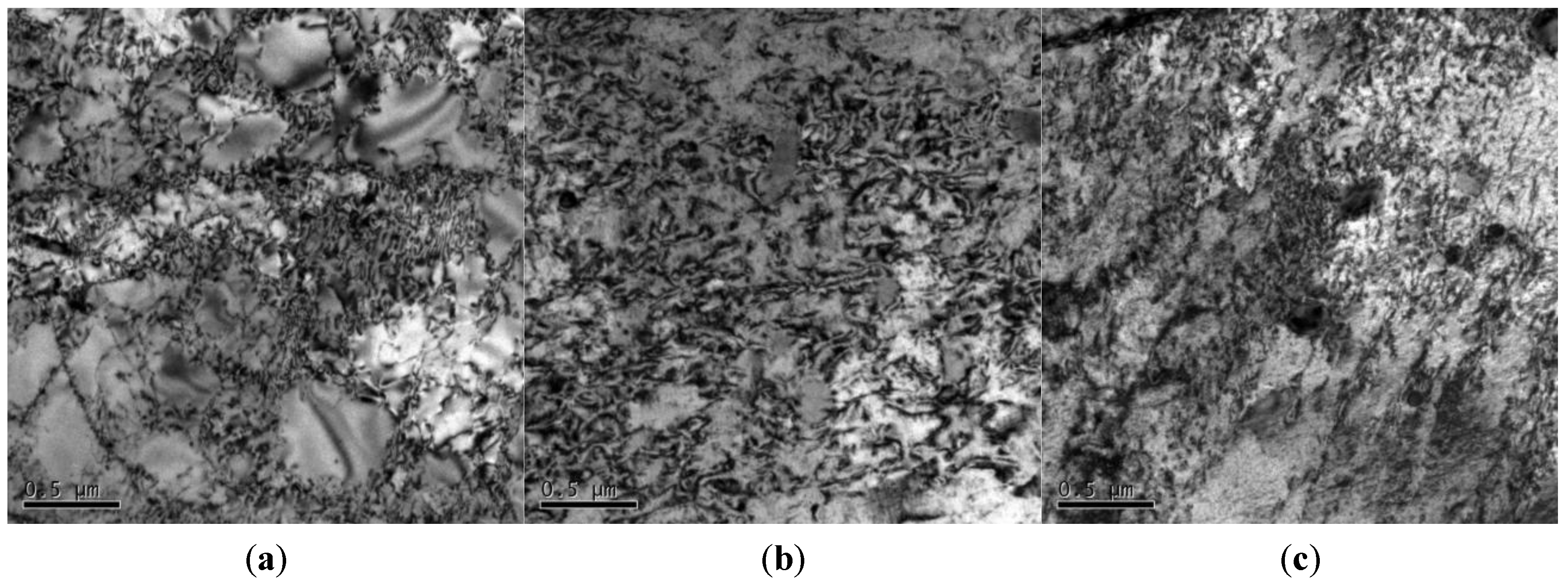 Coatings 14 00755 g010