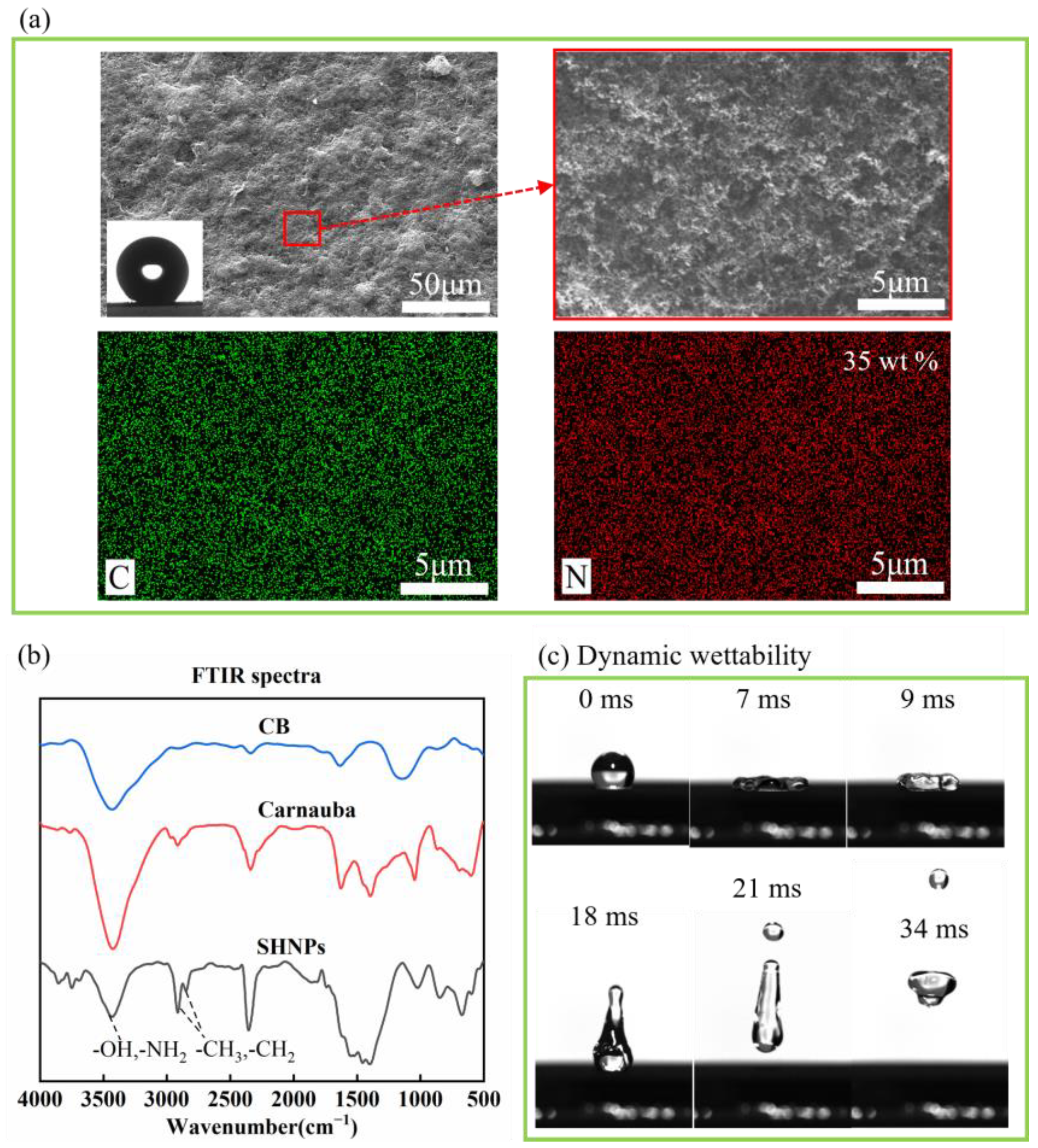 Coatings 14 00758 g002