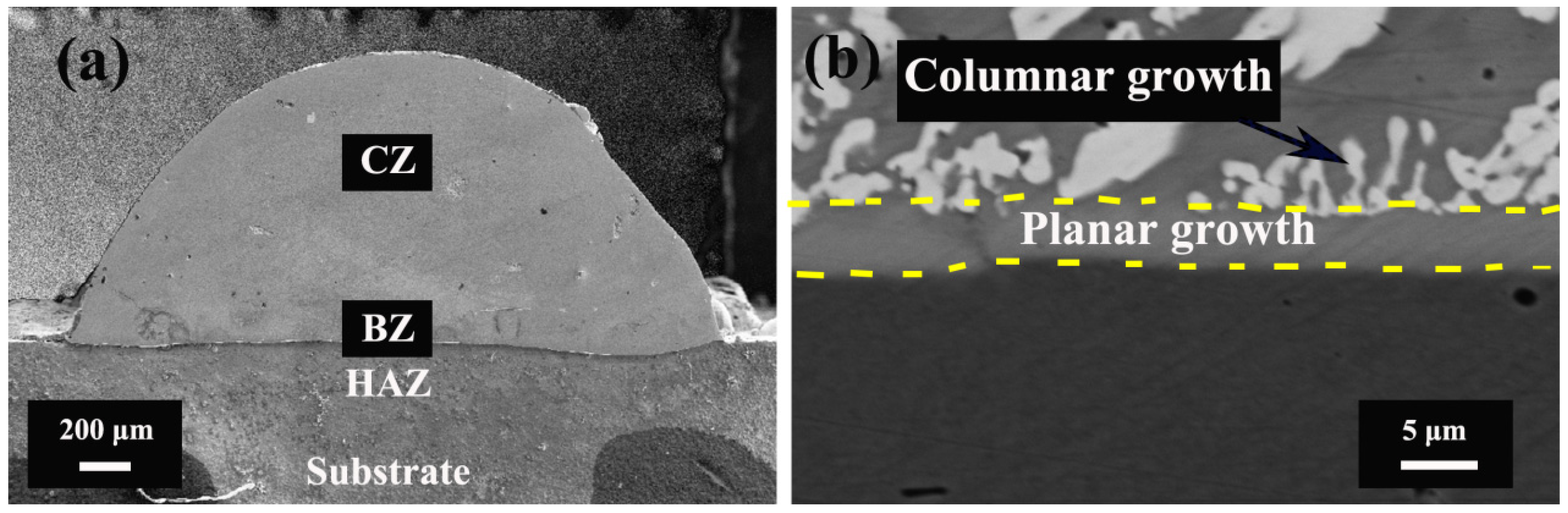 Coatings 14 00760 g002