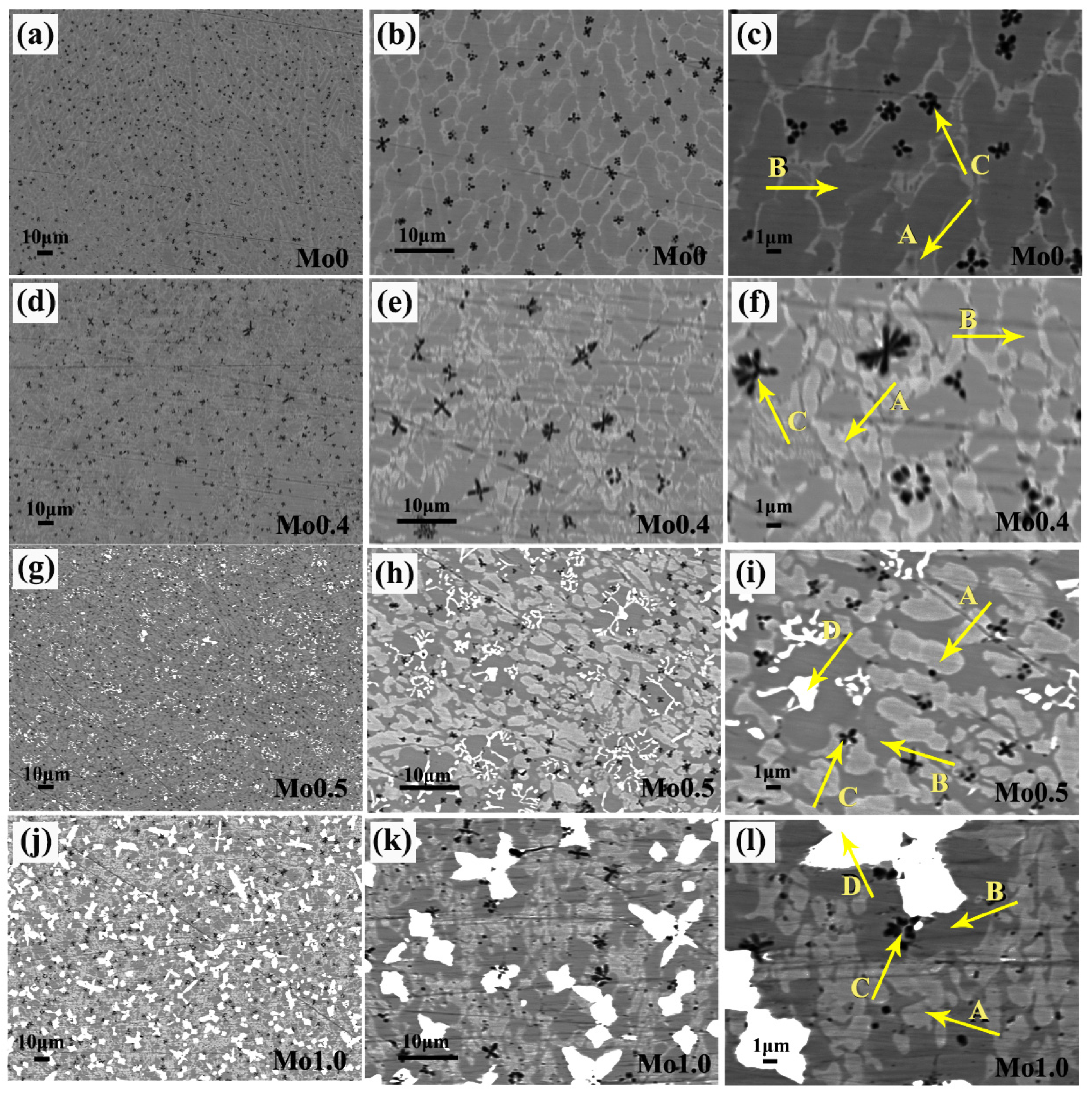 Coatings 14 00760 g003