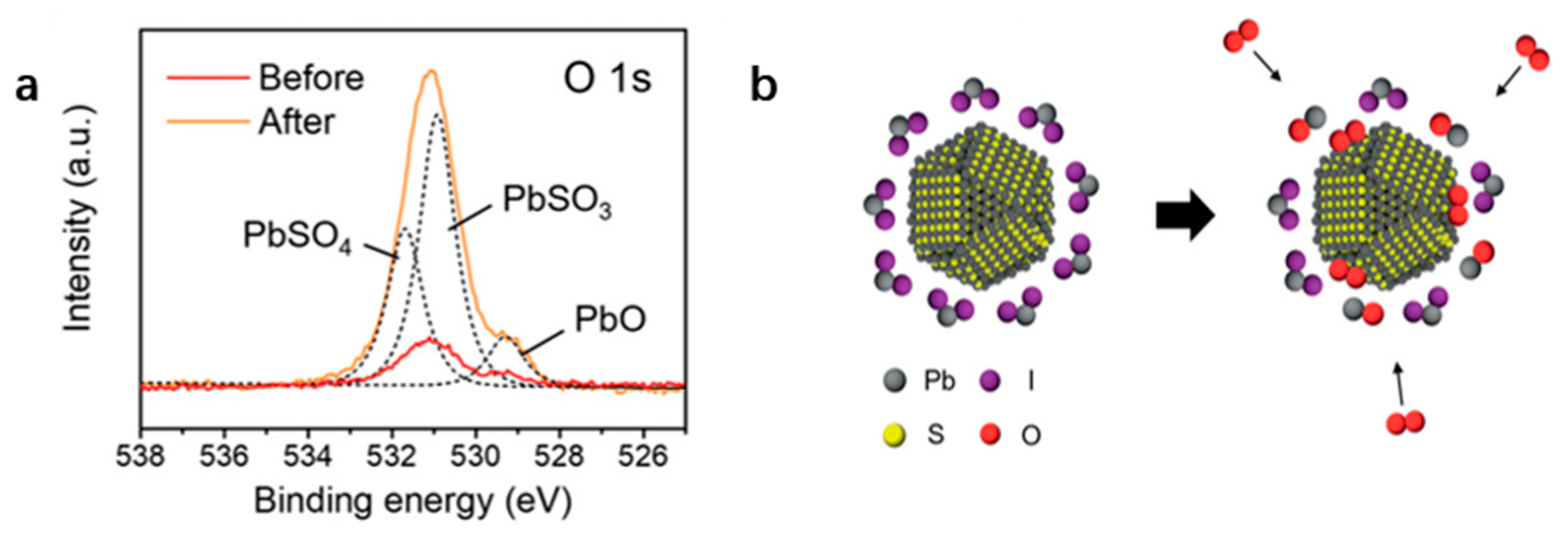 Coatings 14 00761 g004