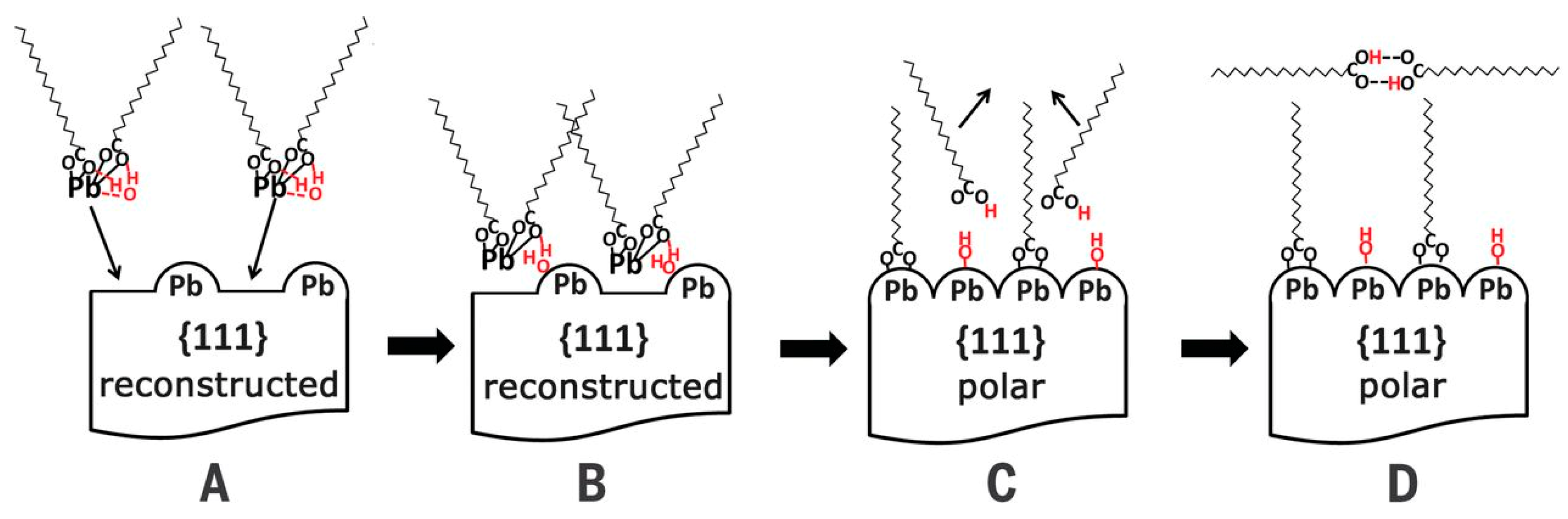 Coatings 14 00761 g006