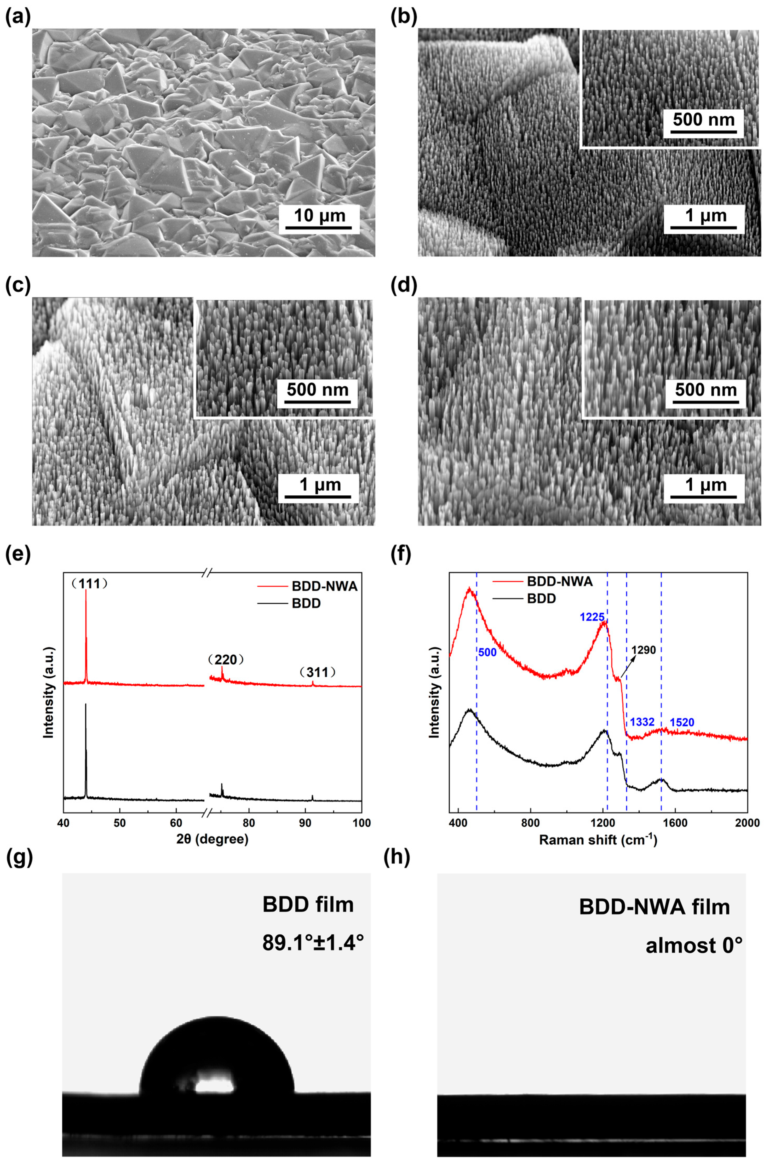 Coatings 14 00762 g001