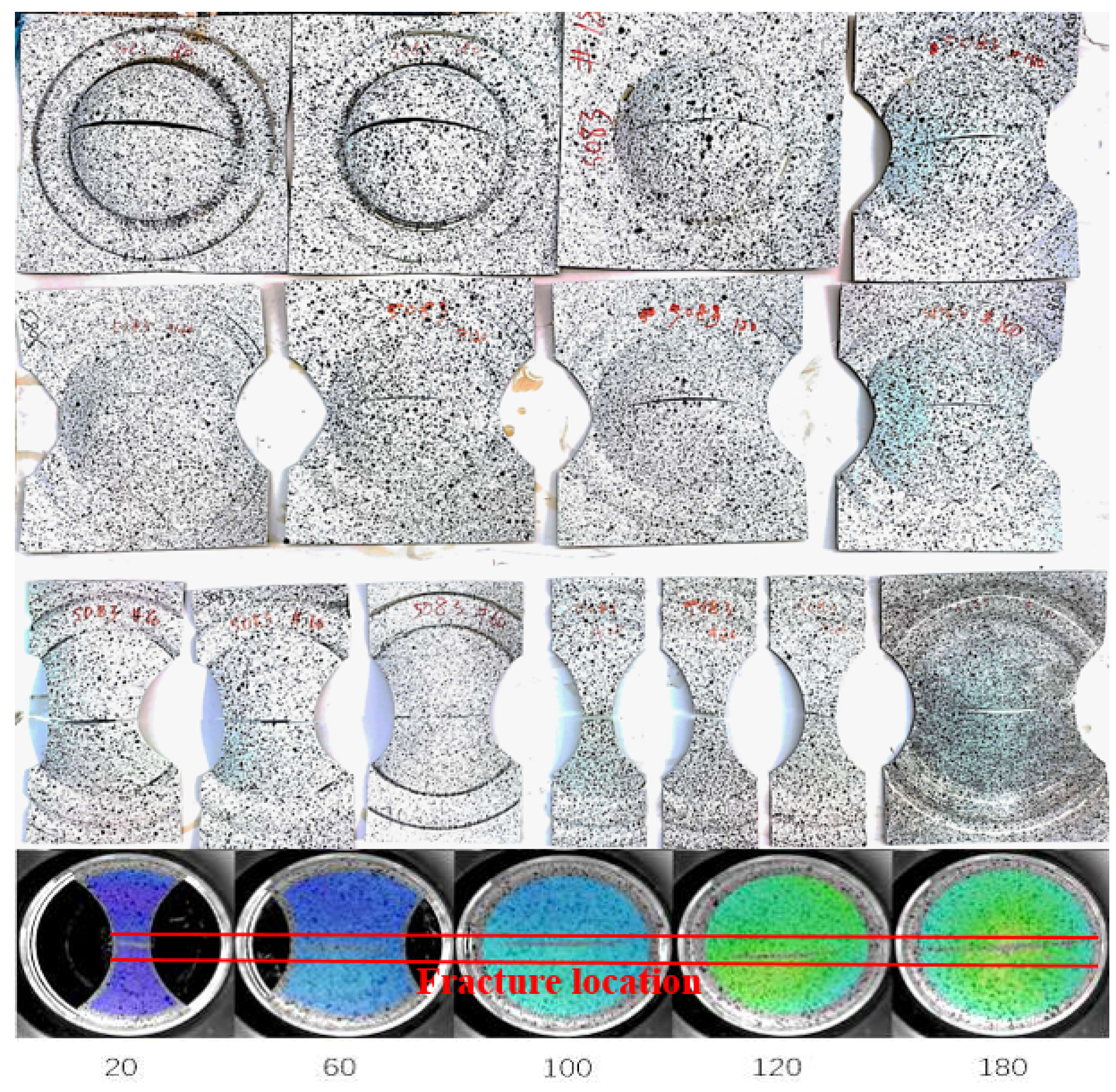 Coatings 14 00765 g009