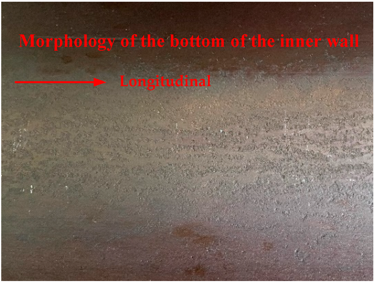 Coatings 14 00770 g005