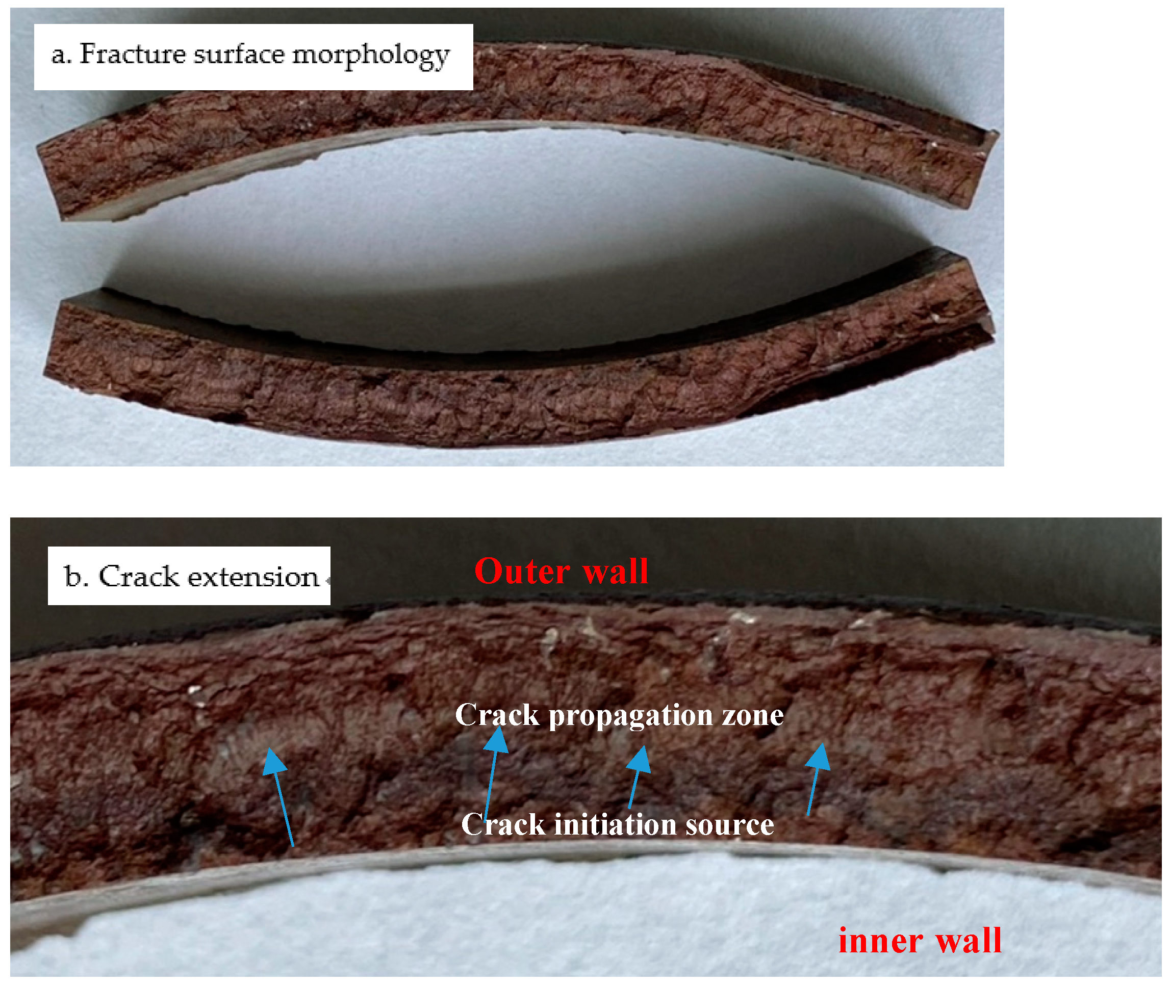Coatings 14 00770 g011