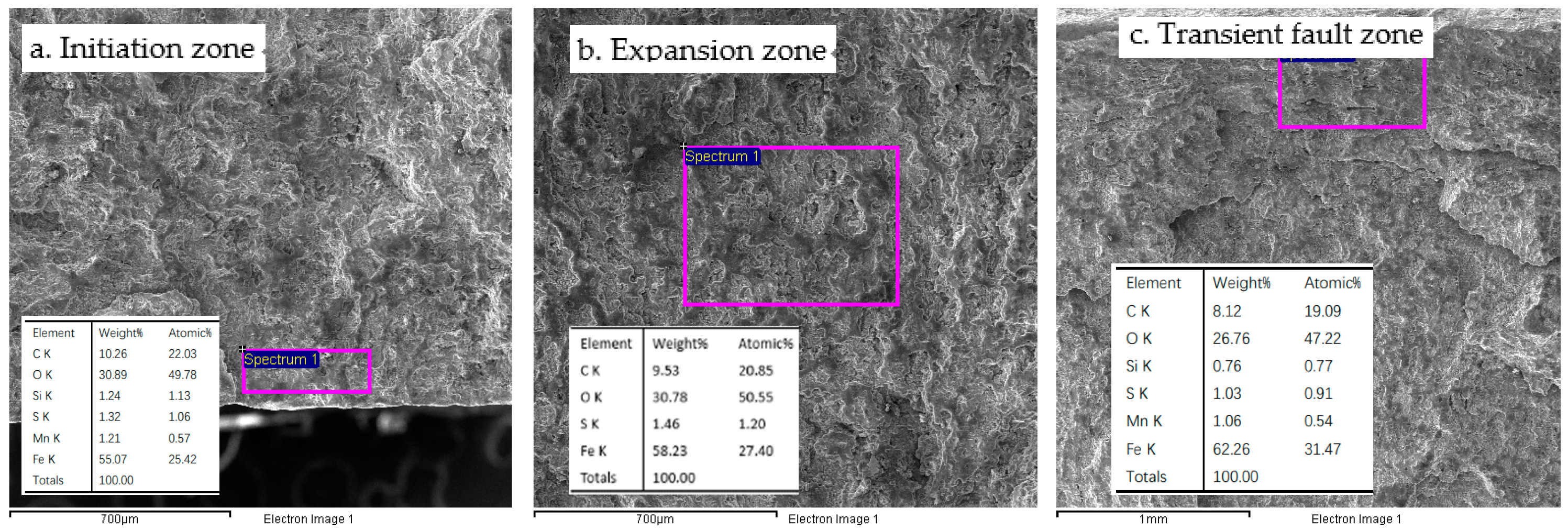 Coatings 14 00770 g014