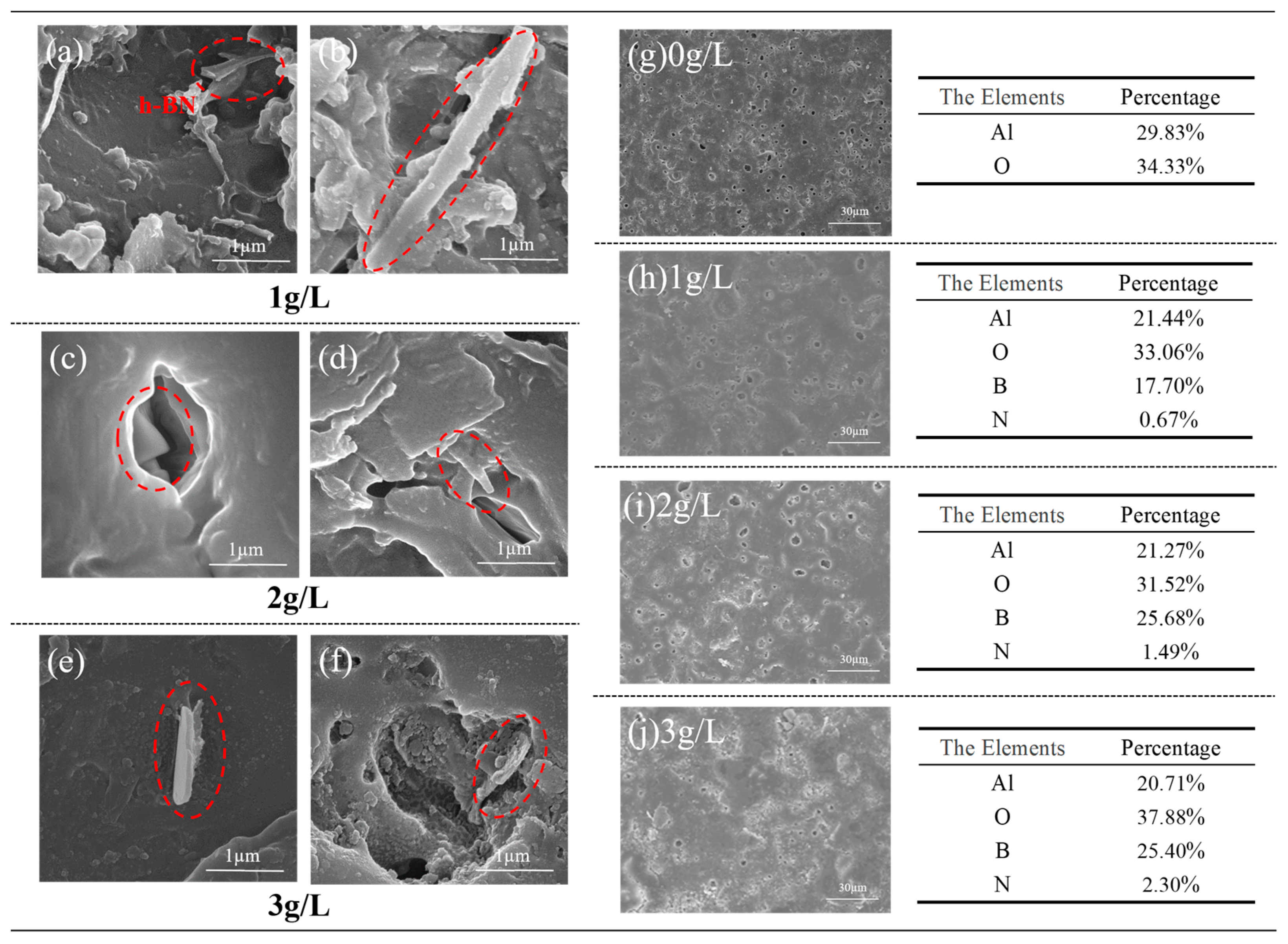 Coatings 14 00771 g005