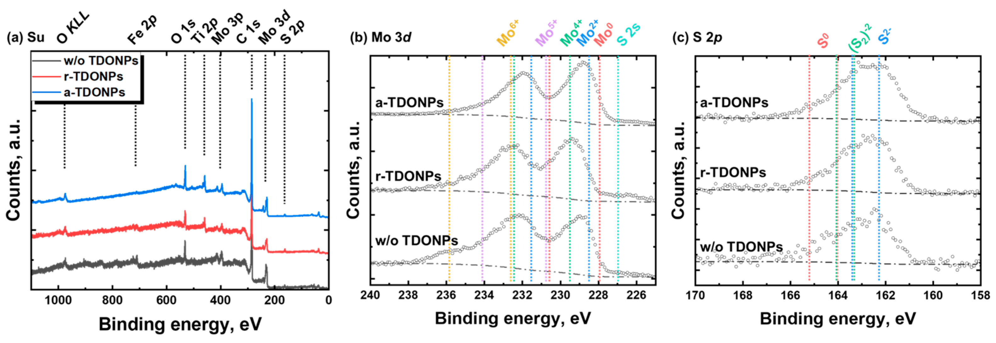Coatings 14 00773 g015