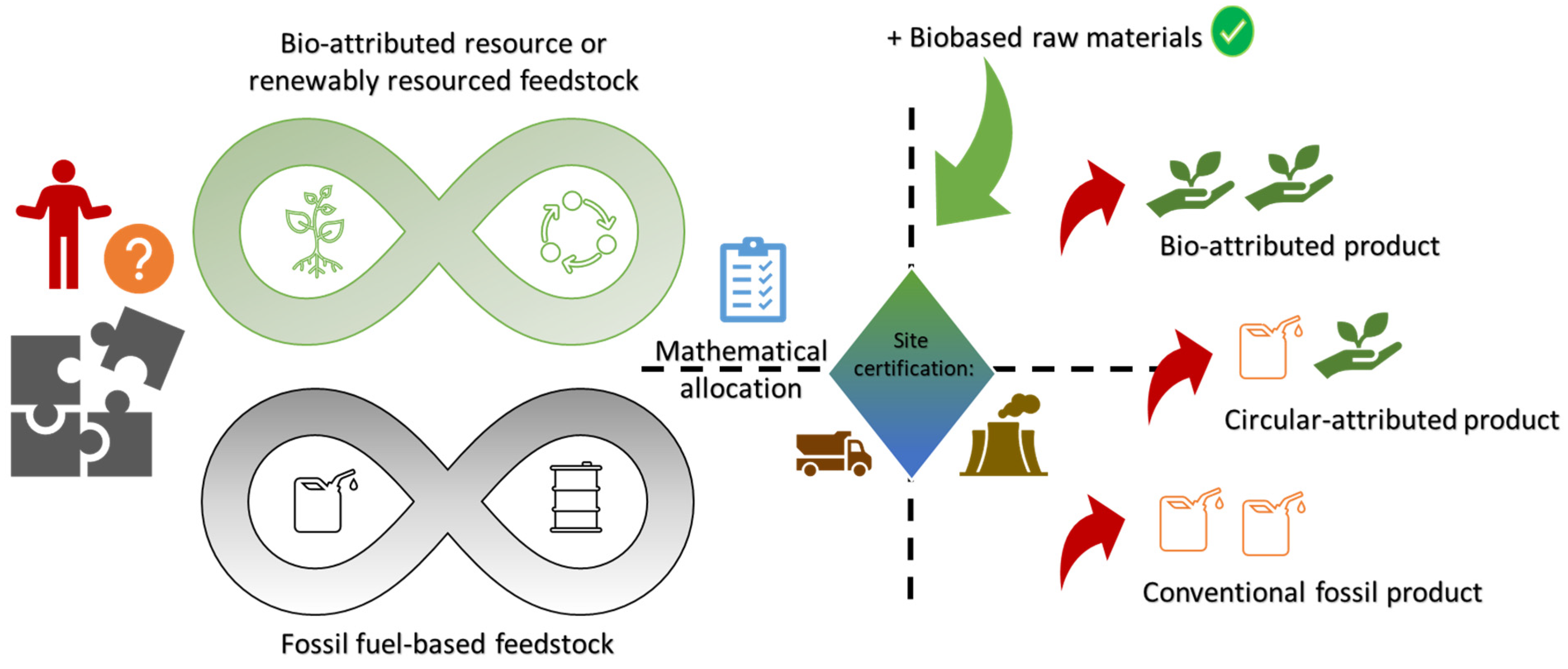 Coatings 14 00774 g004
