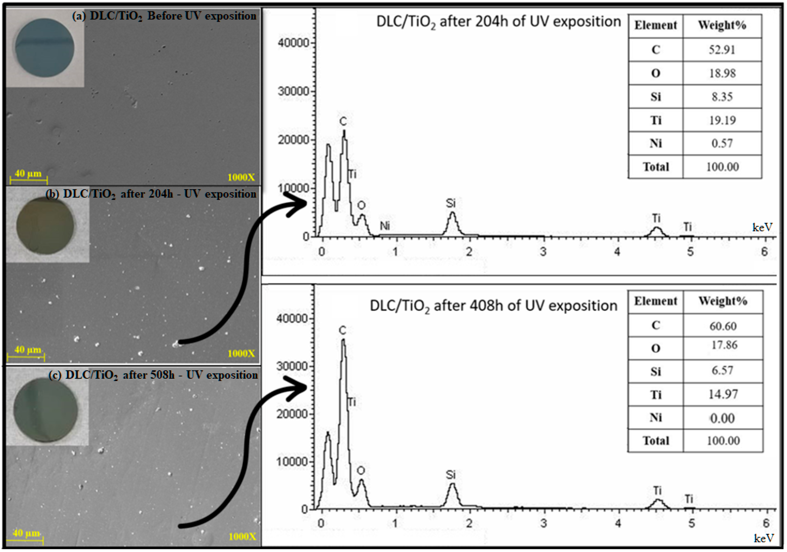 Coatings 14 00777 g006