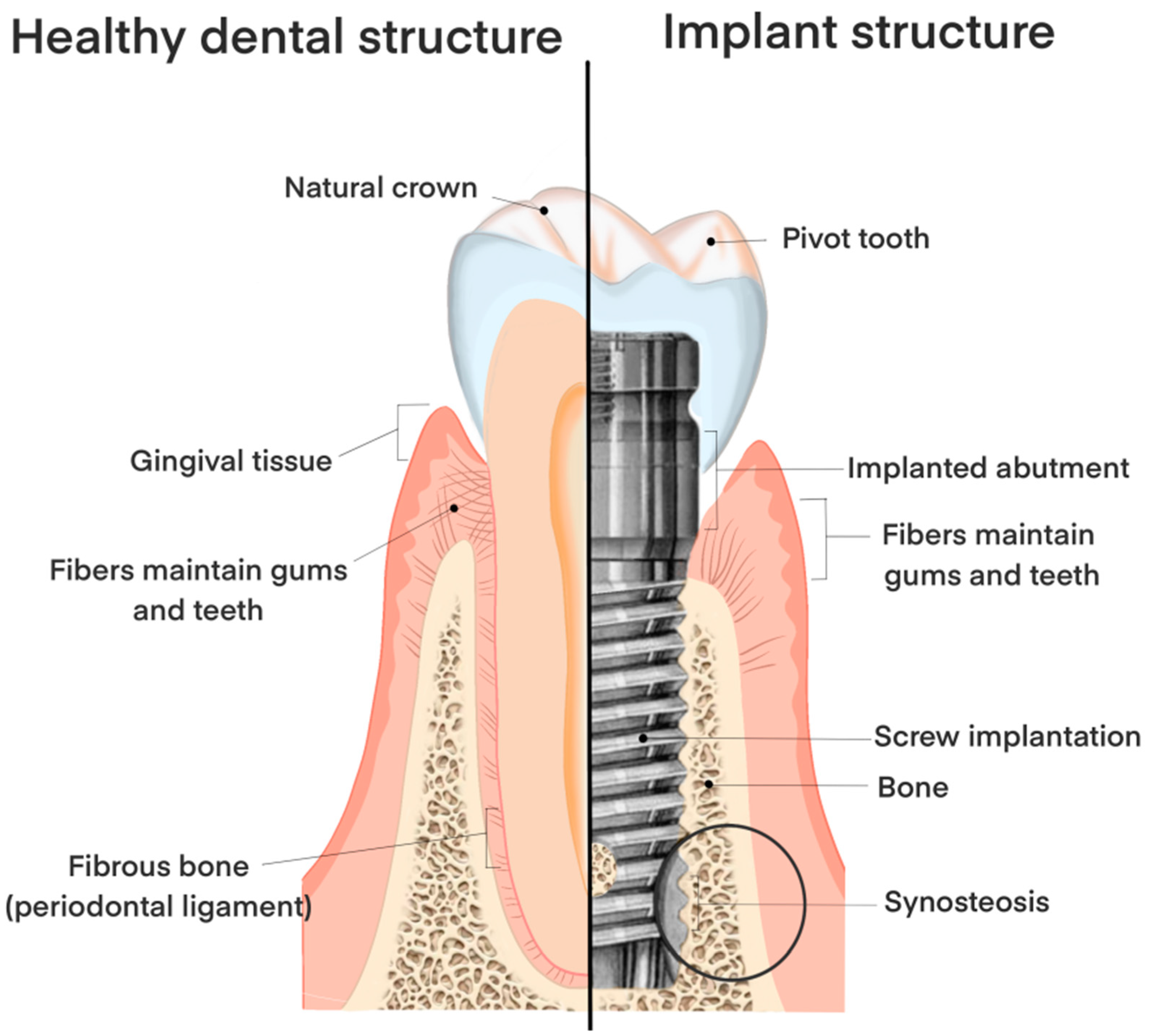 Coatings 14 00781 g001 Coatings 14 00781 g001