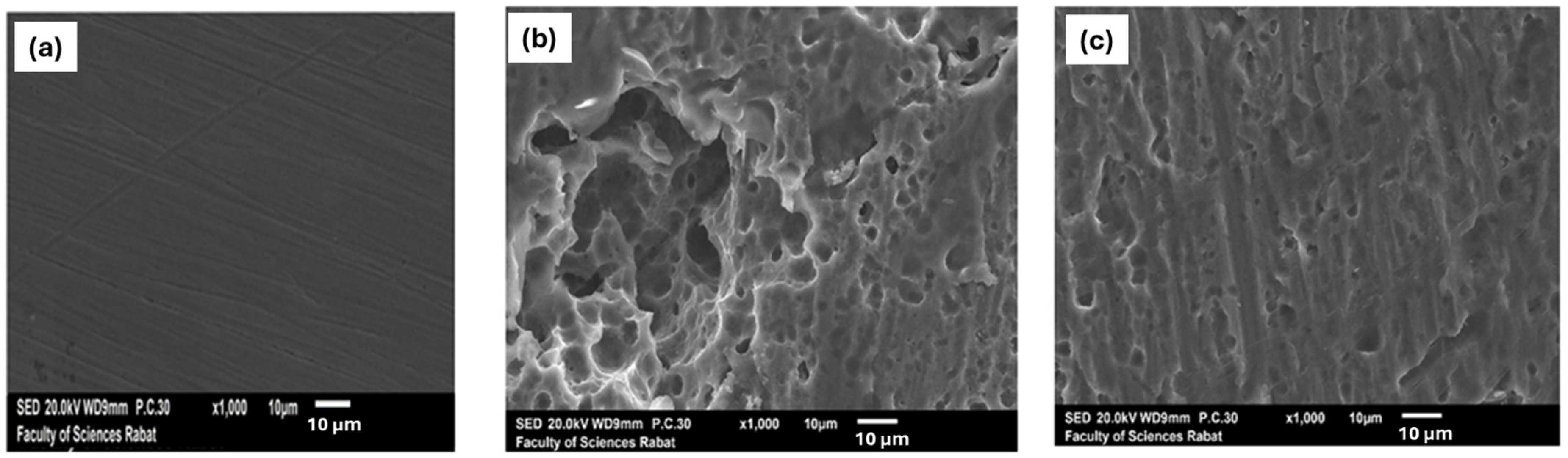 Coatings 14 00783 g008