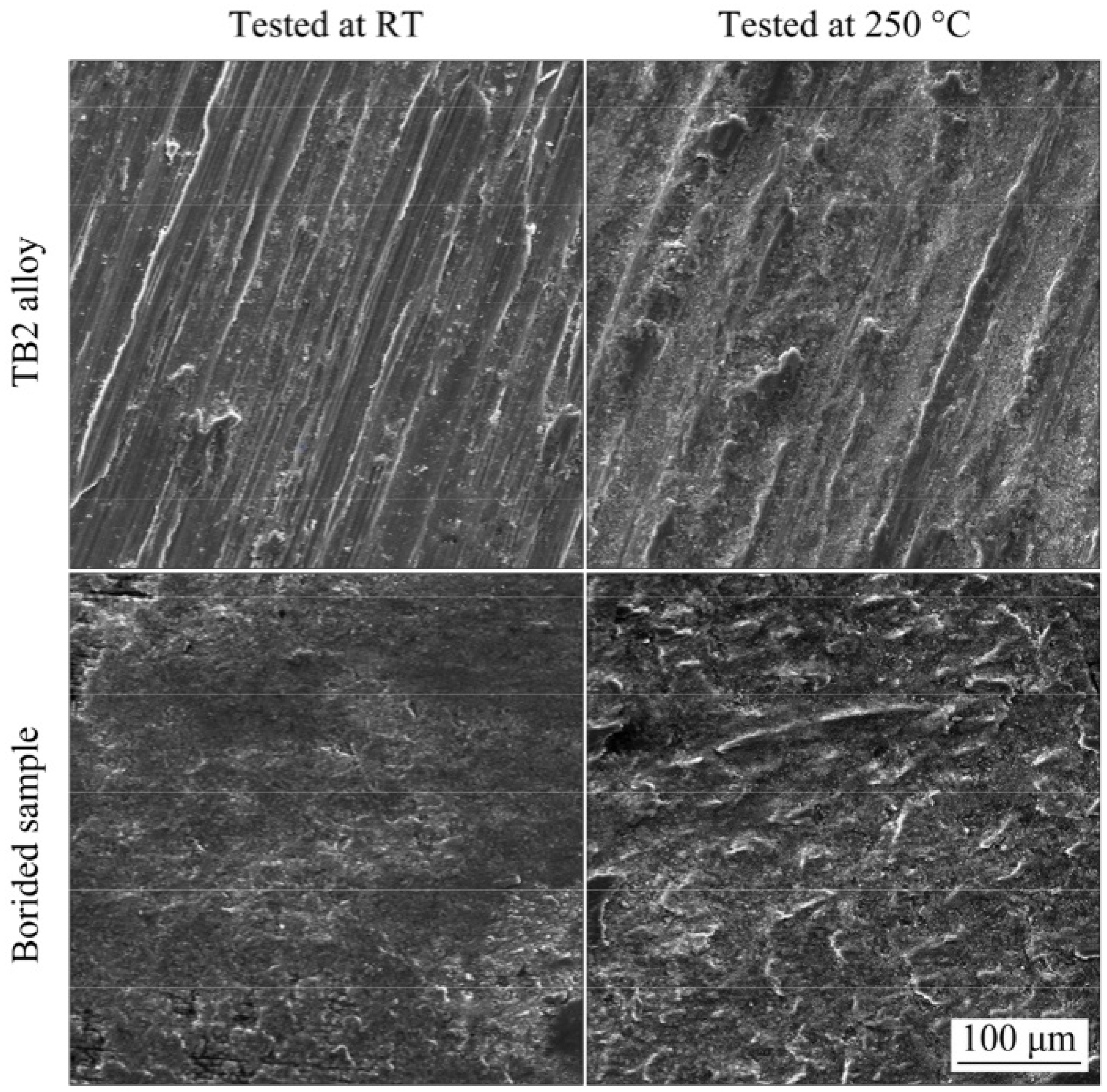 Coatings 14 00786 g002