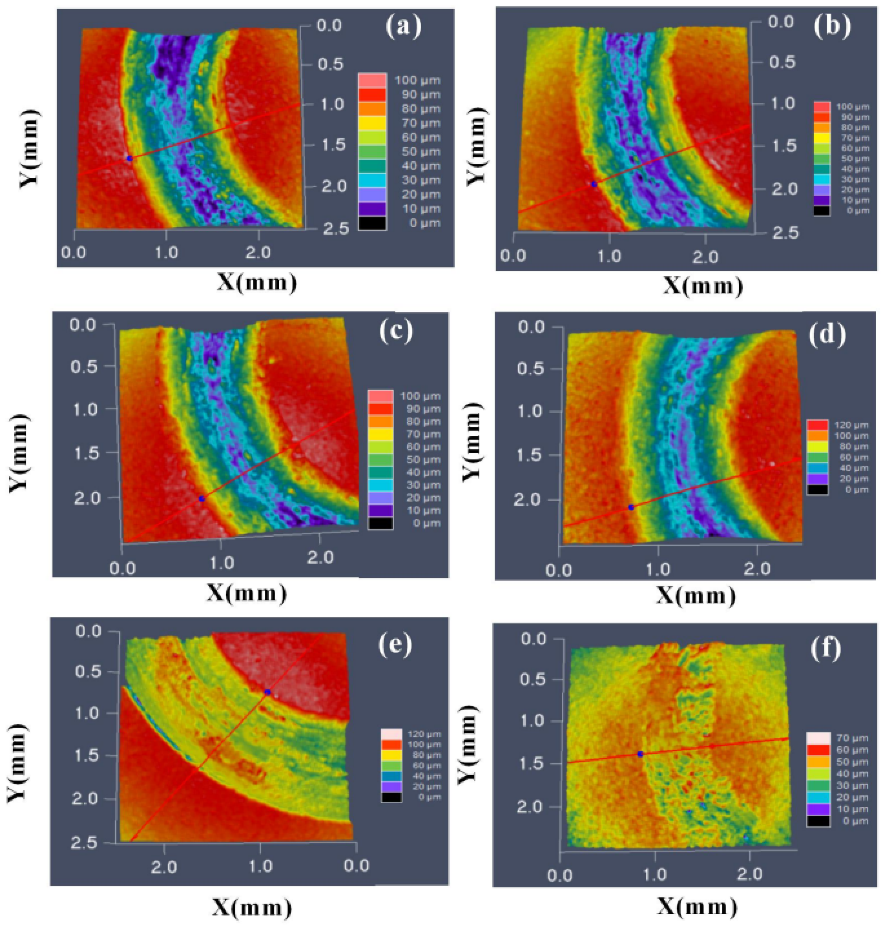 Coatings 14 00786 g012