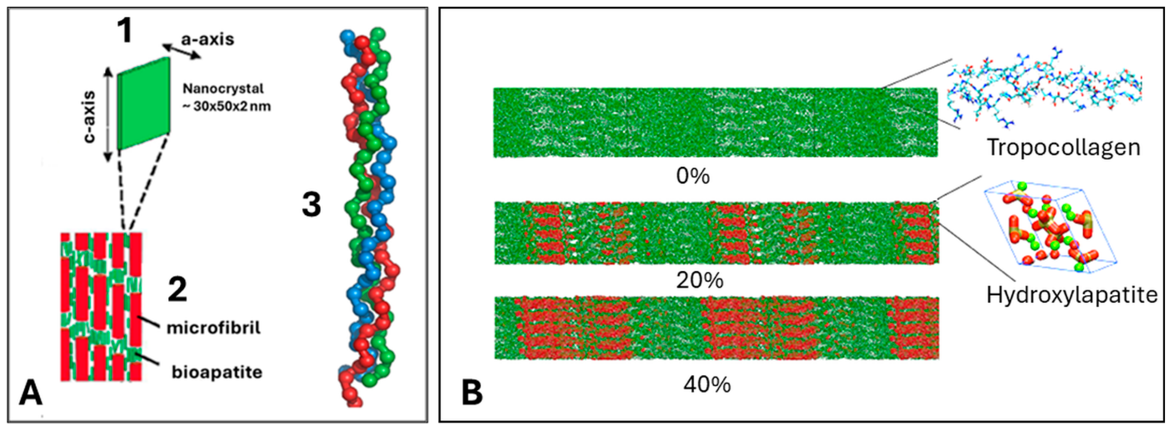 Coatings 14 00787 g003