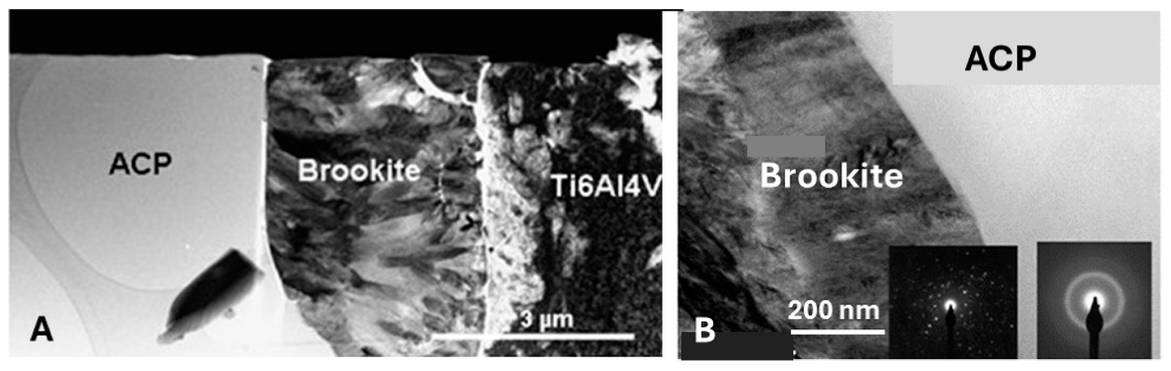 Coatings 14 00787 g009