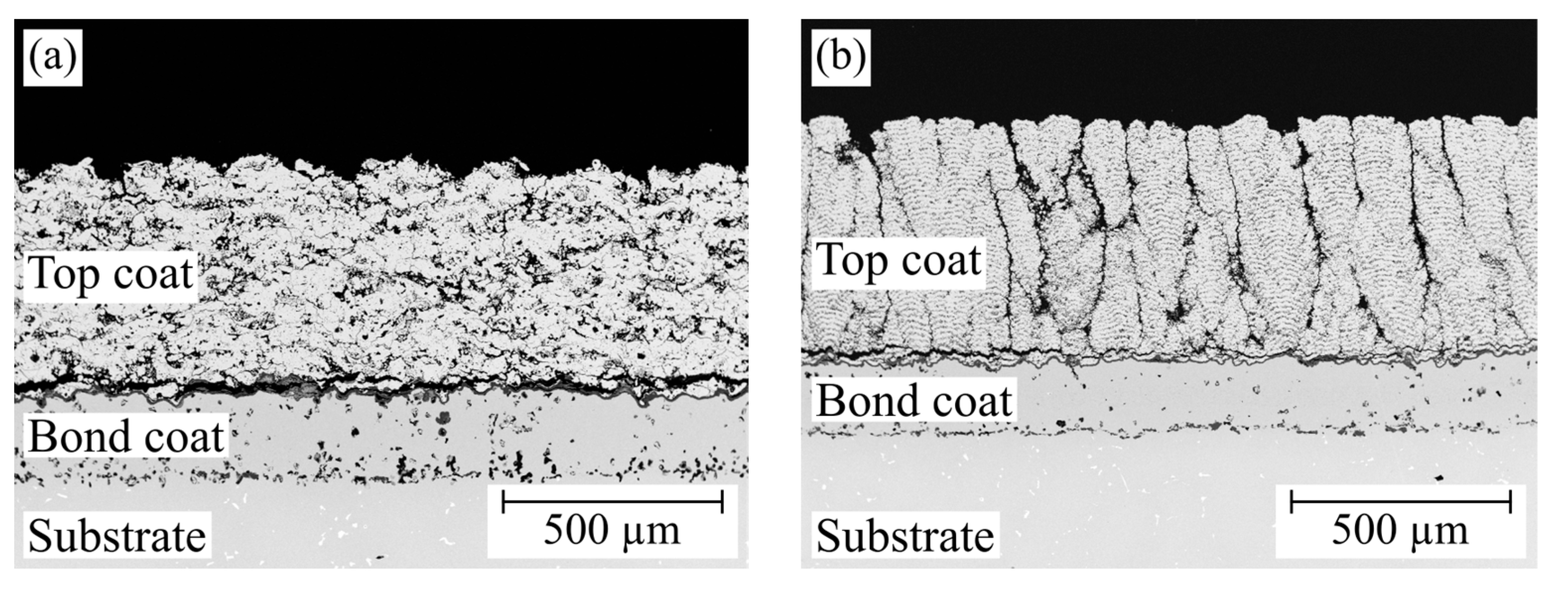 Coatings 14 00793 g005
