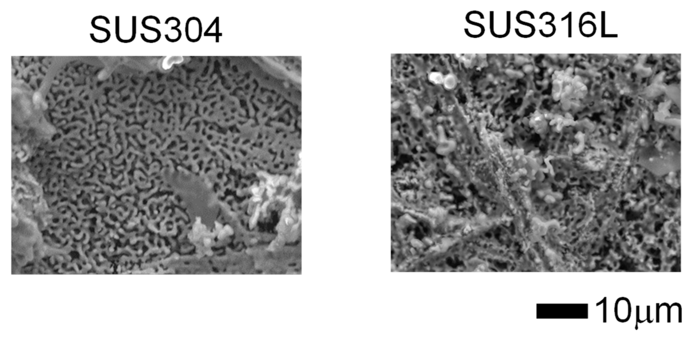 Coatings 14 00796 g006