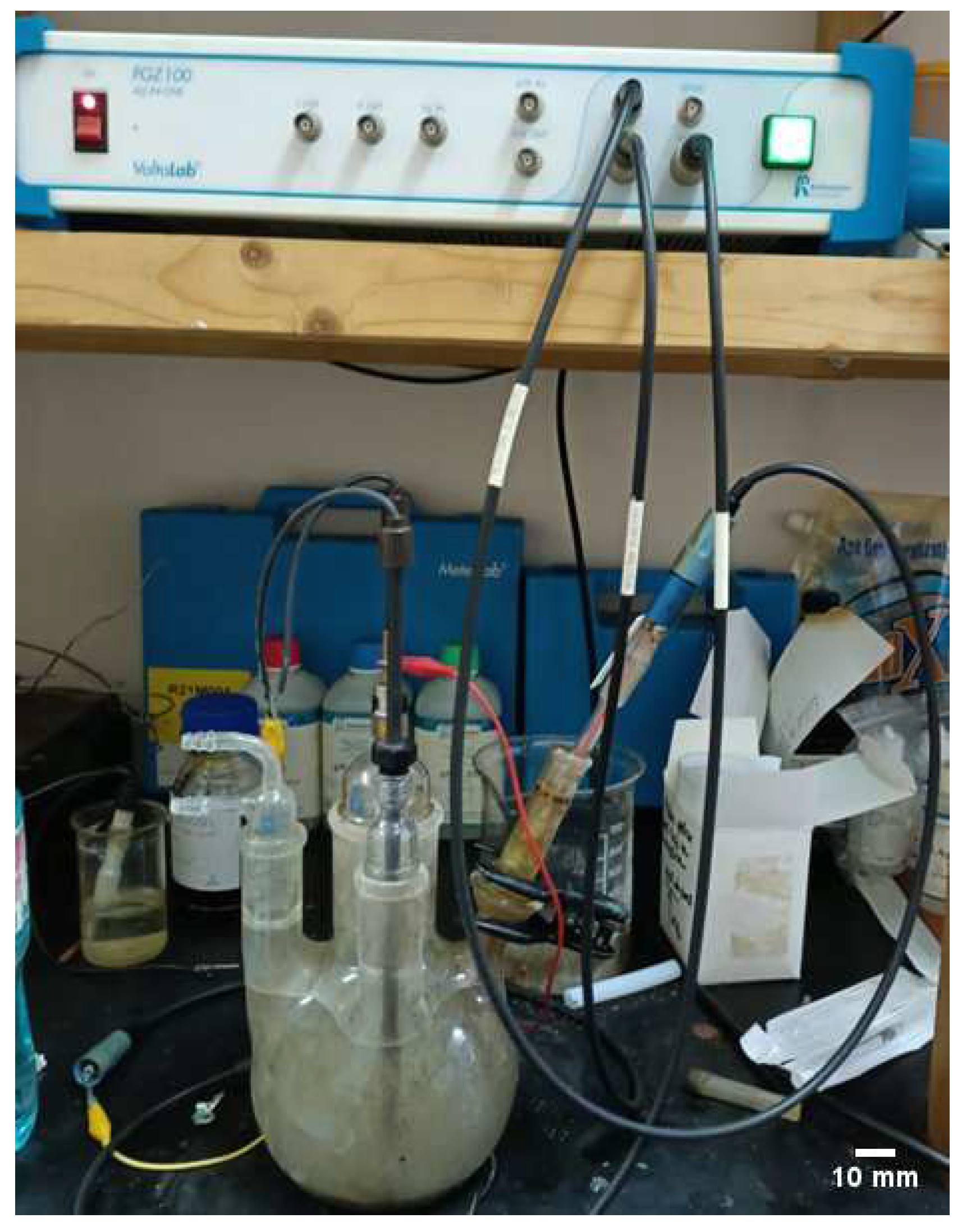 Coatings 14 00800 g002