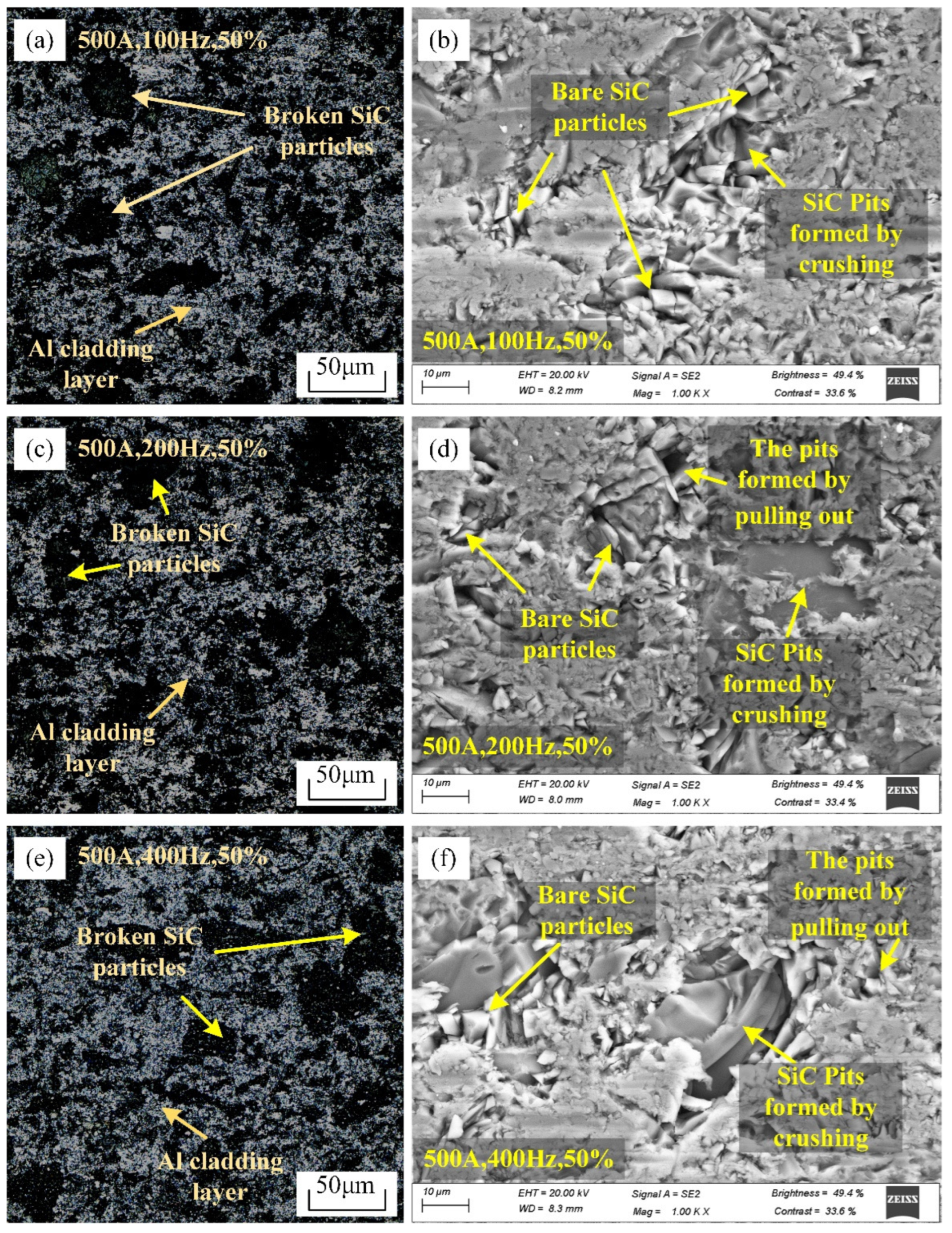 Coatings 14 00804 g012