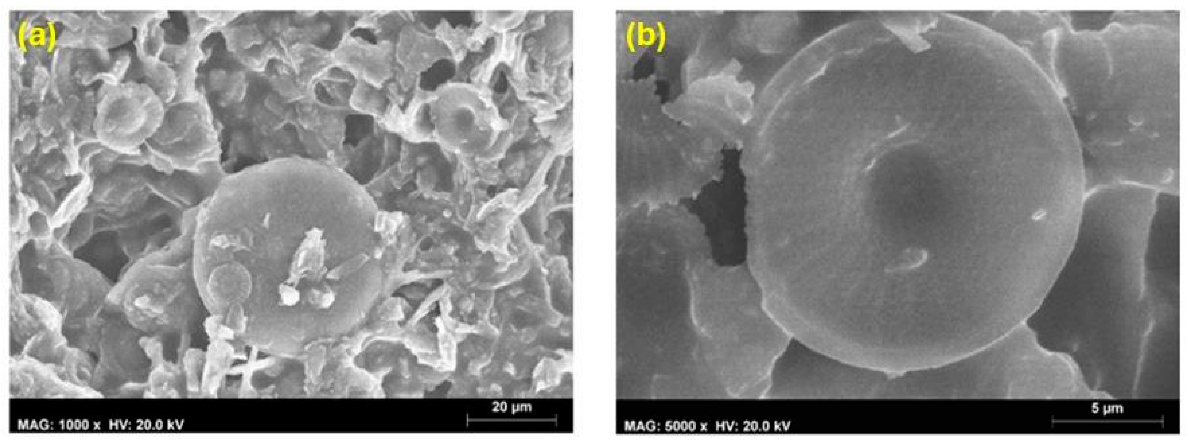 Coatings 14 00805 g010