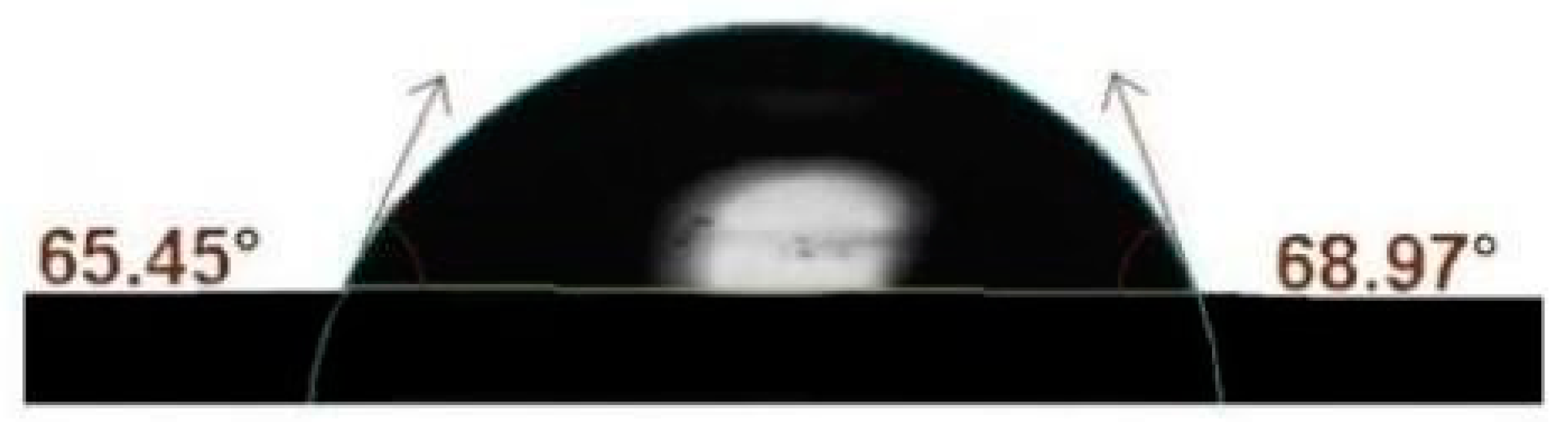 Coatings 14 00805 g017