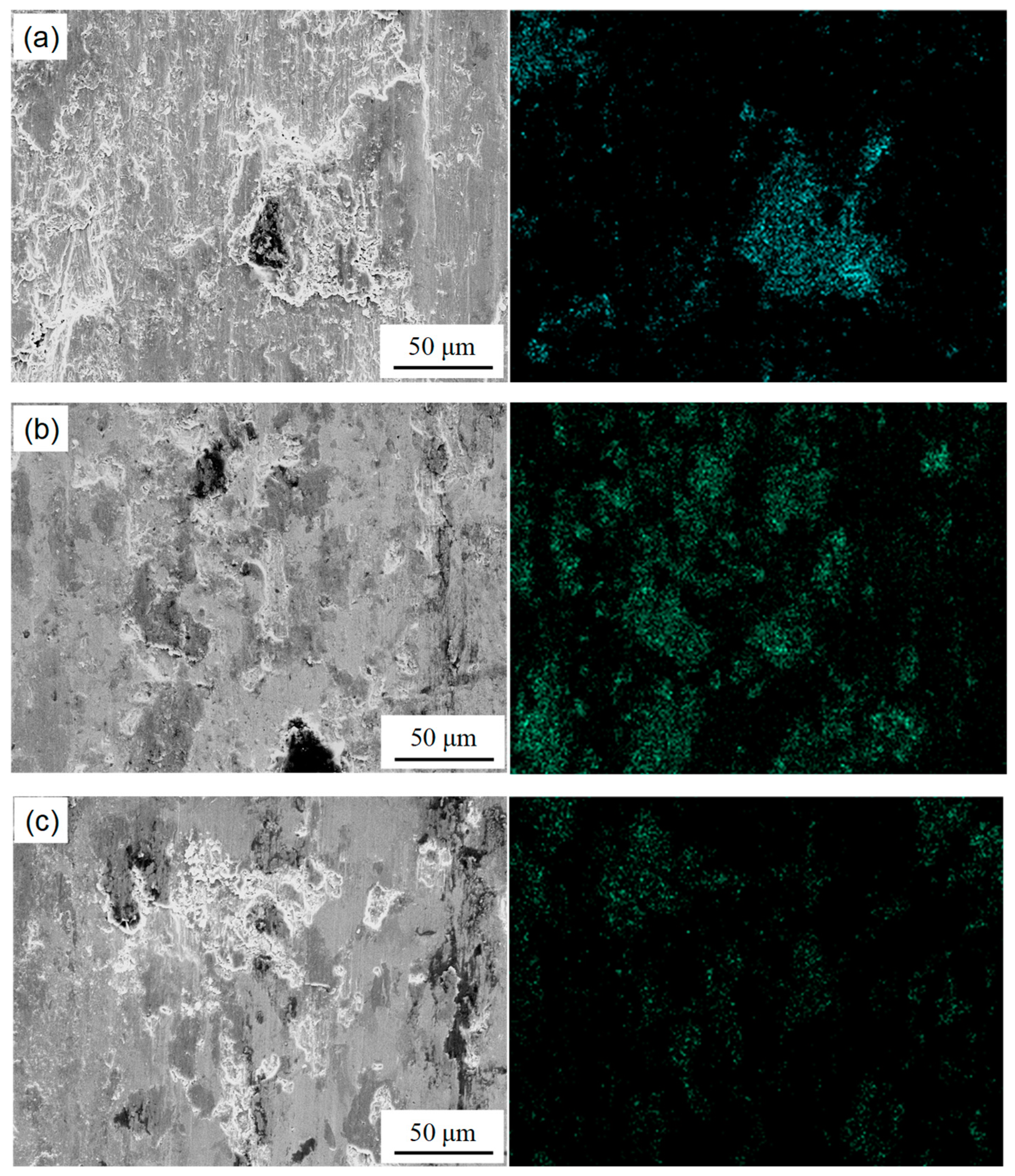 Coatings 14 00813 g014