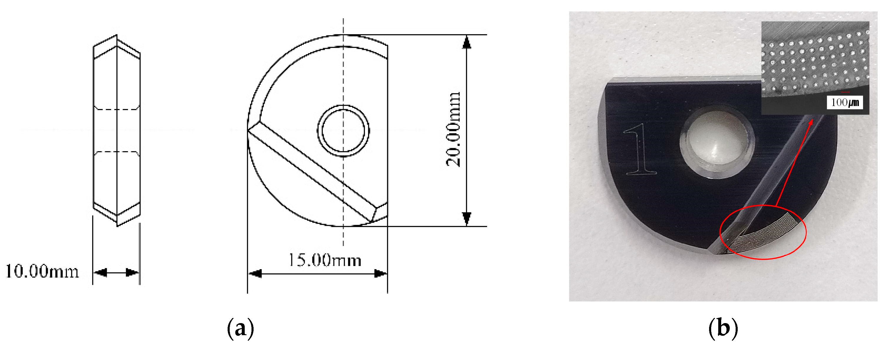 Coatings 14 00814 g001