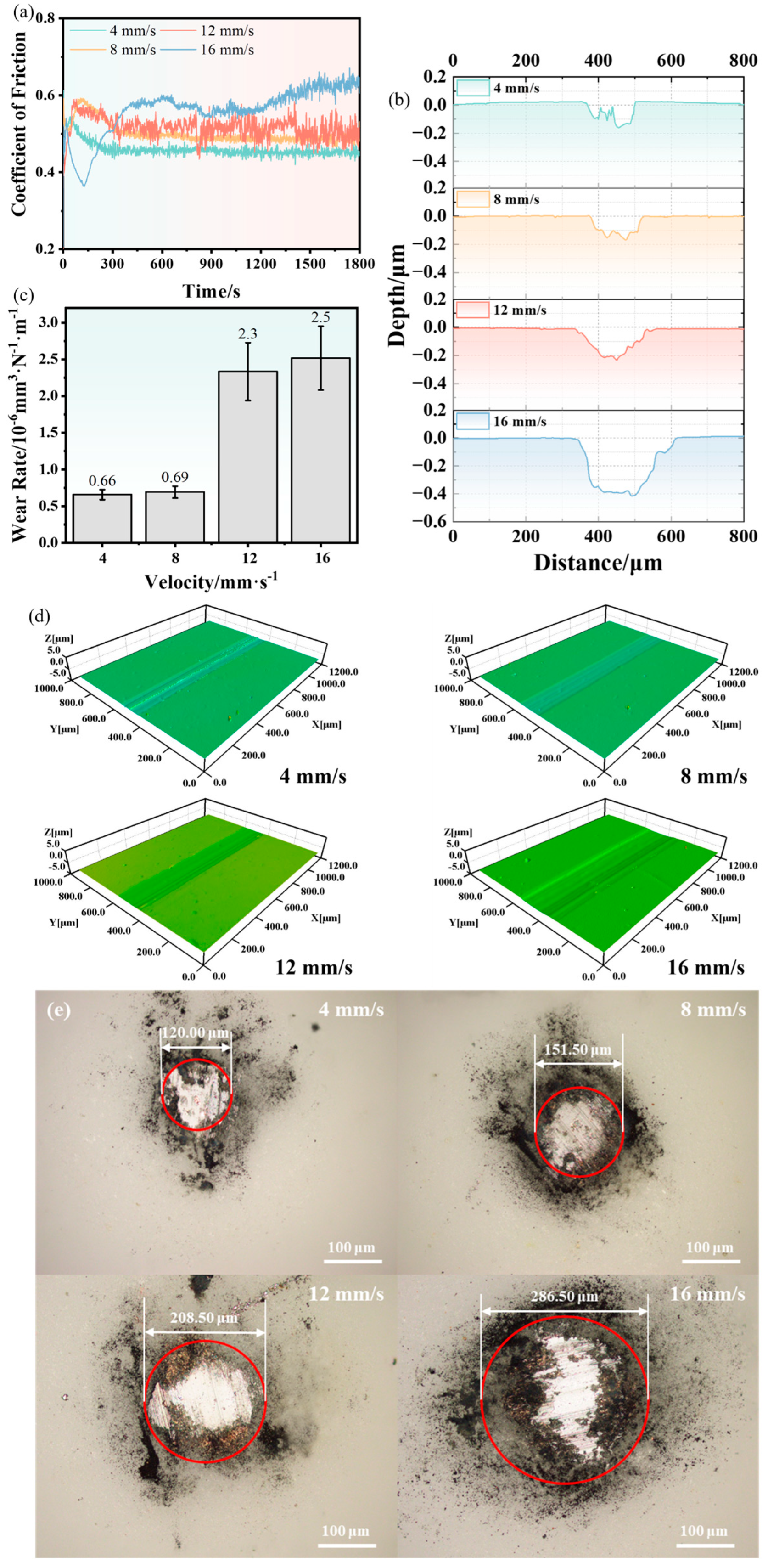 Coatings 14 00821 g004