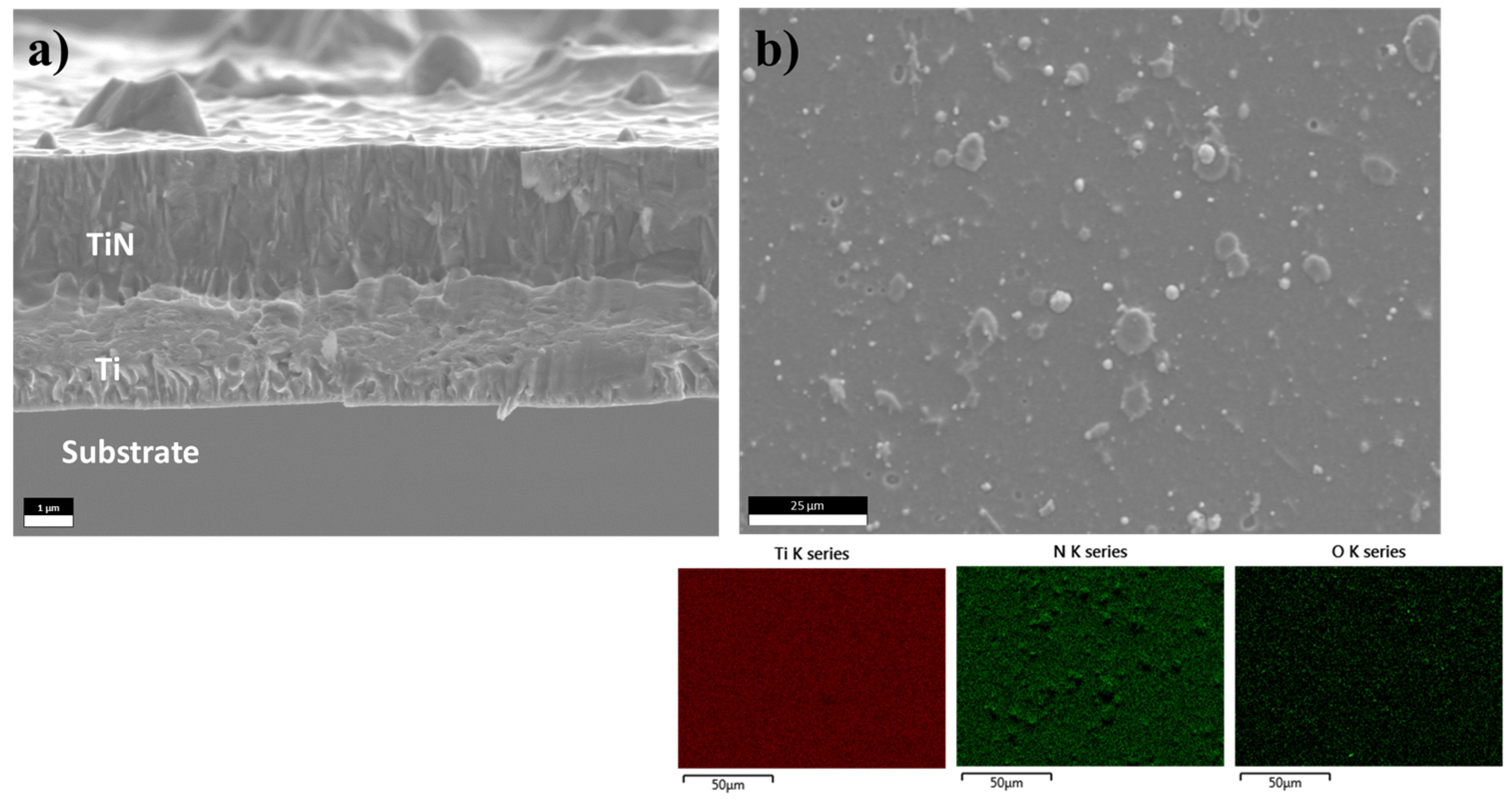 Coatings 14 00823 g007