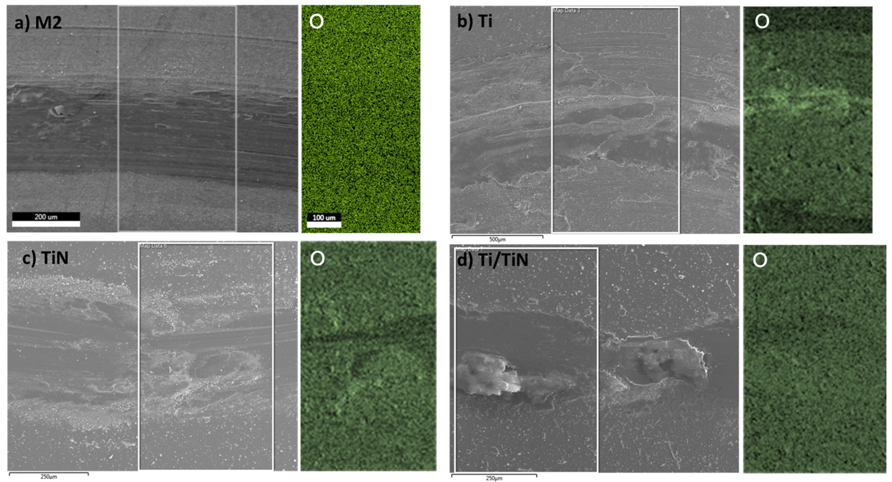 Coatings 14 00823 g013