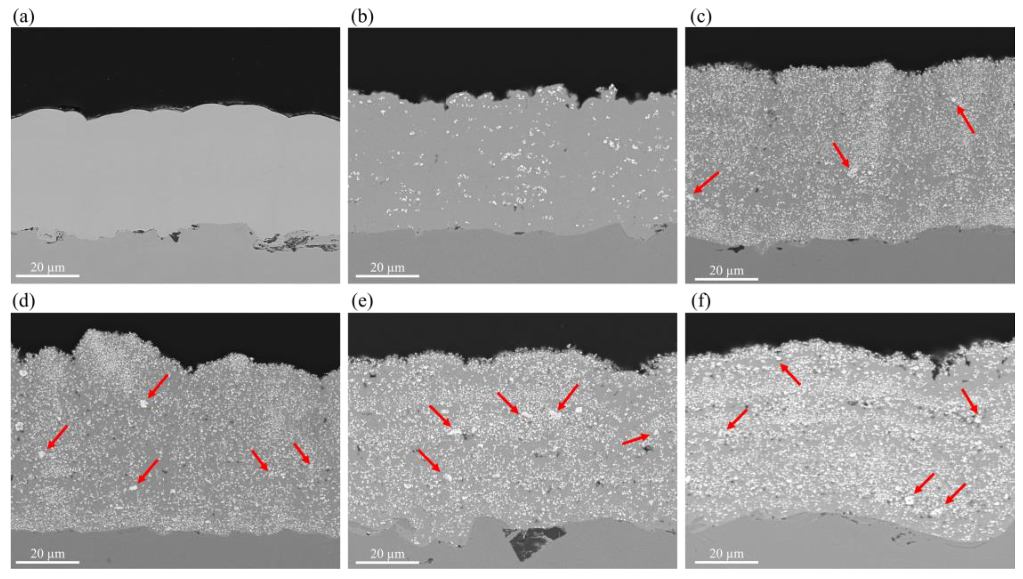 Coatings 14 00826 g006