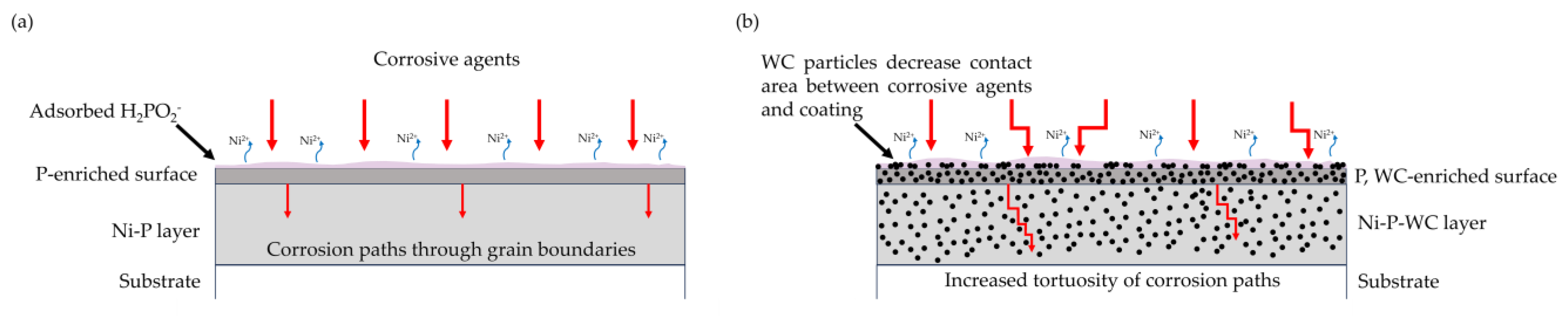 Coatings 14 00826 g024