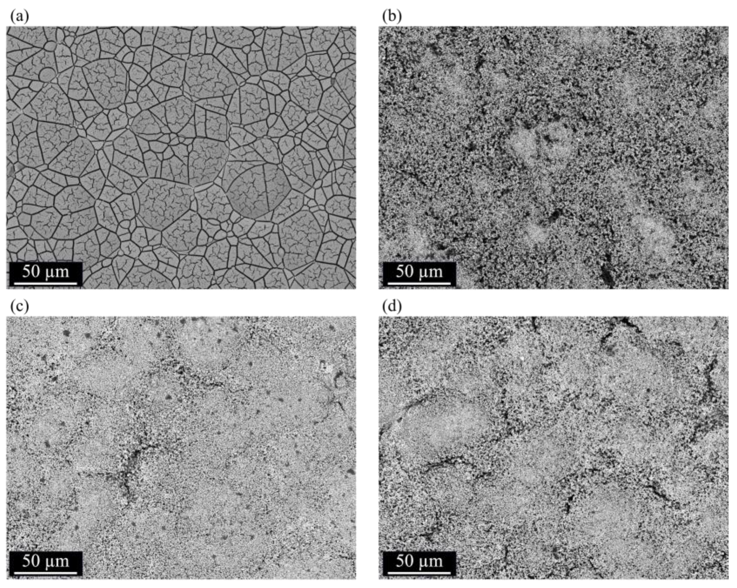 Coatings 14 00826 g025